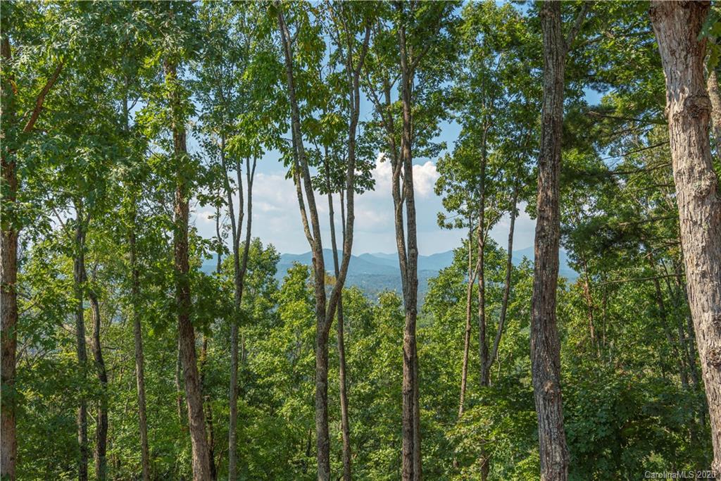 180 Dry Ridge Road Asheville, NC 28804 - Photo 17 of 31 Gallery Image 17