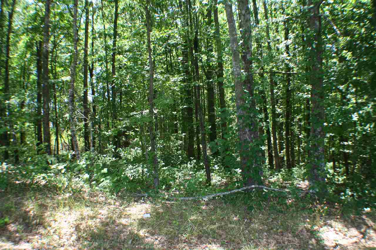 Acreage Foster Road Inman, SC 29349 - Photo 1 of 6