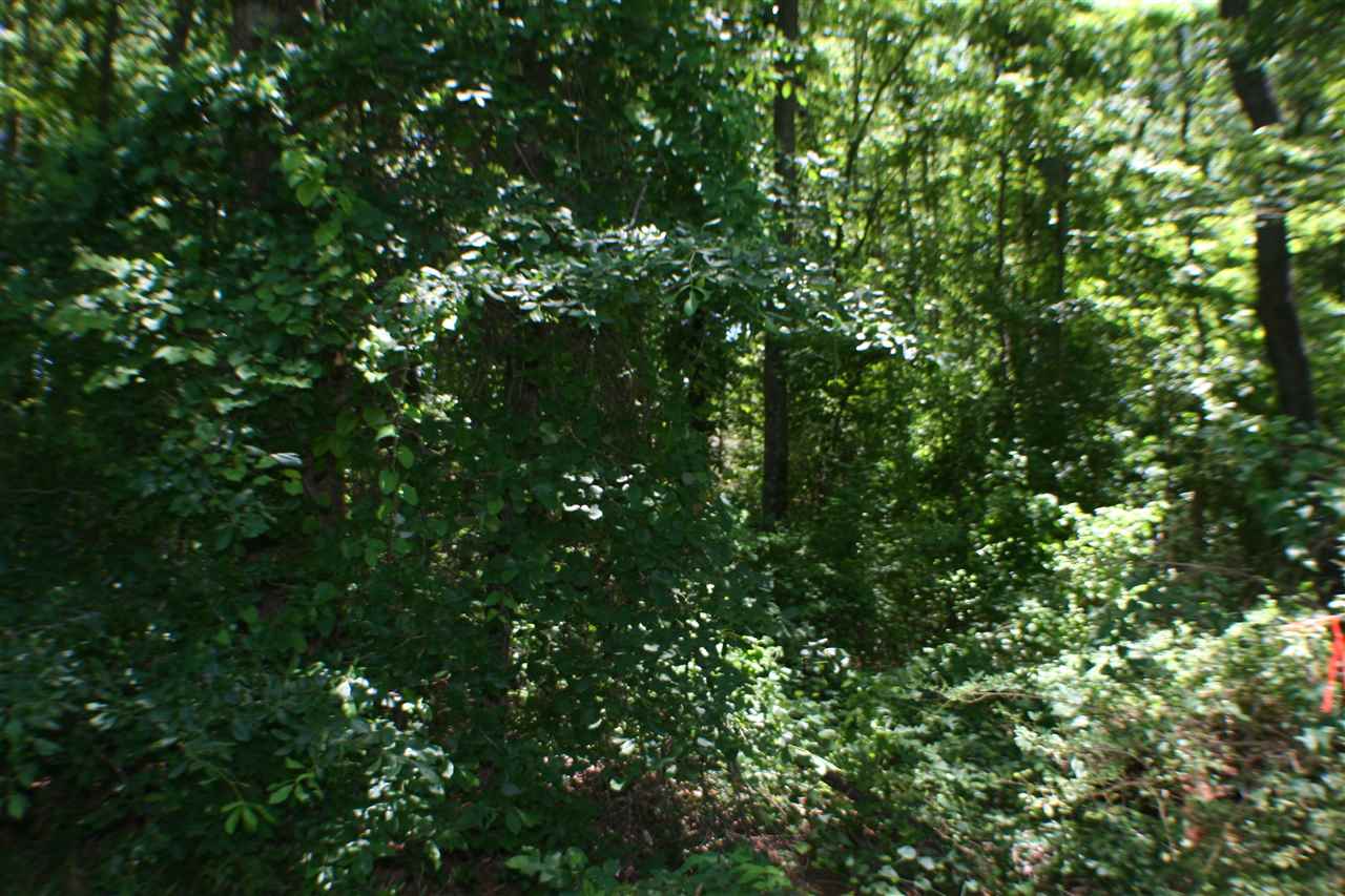 Acreage Foster Road Inman, SC 29349 - Photo 3 of 6