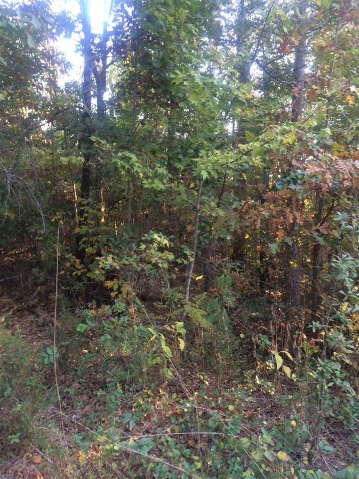 Acreage Foster Road Inman, SC 29349 - Photo 5 of 6
