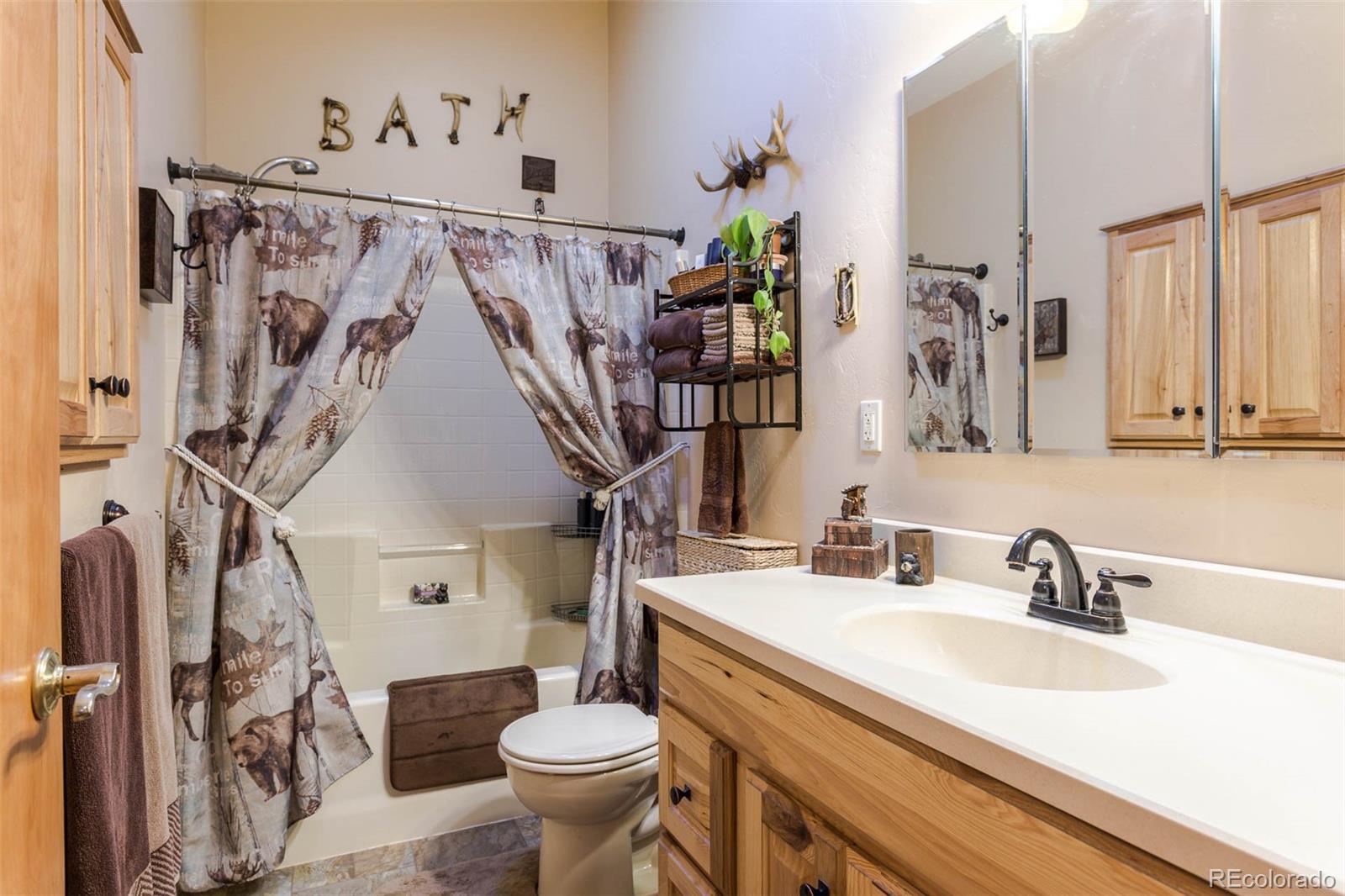 32147 Sylvan Road Golden, CO 80403 - Photo 19 of 27 a bathroom with a sink toilet and shower