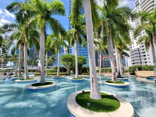 a view of a park with palm trees