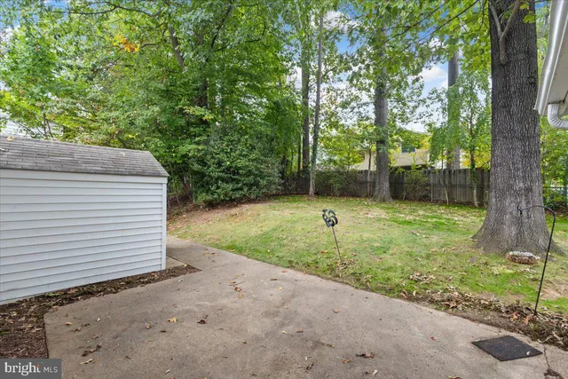 a view of a backyard with a small cabin