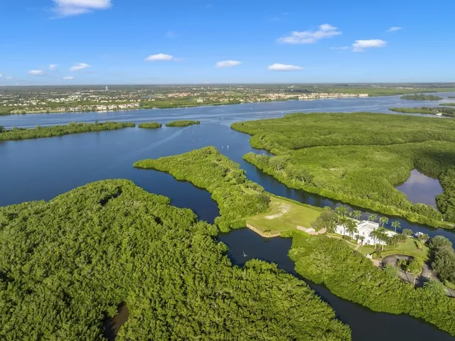 a view of a plant in a garden