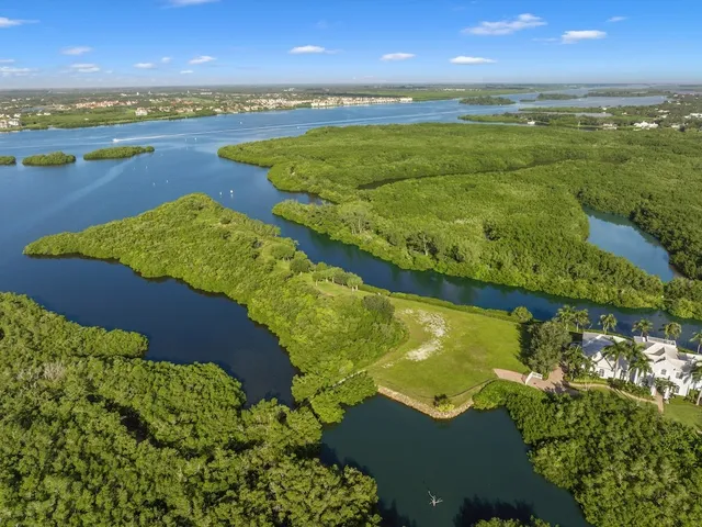 a view of a lake with a city