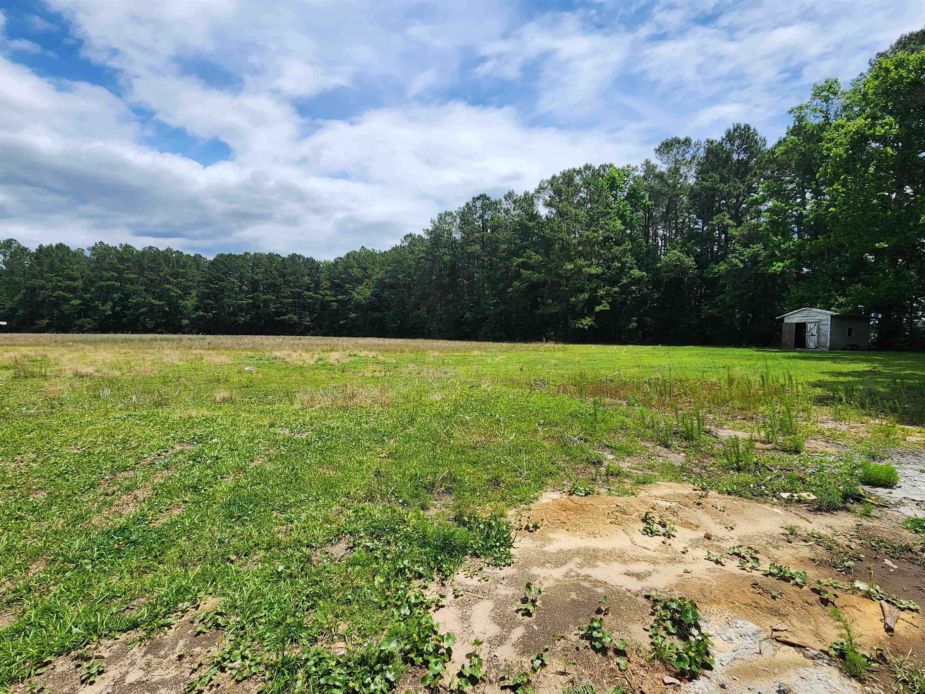 190 Sunshine Road Loris, SC 29569 - Photo 3 of 22