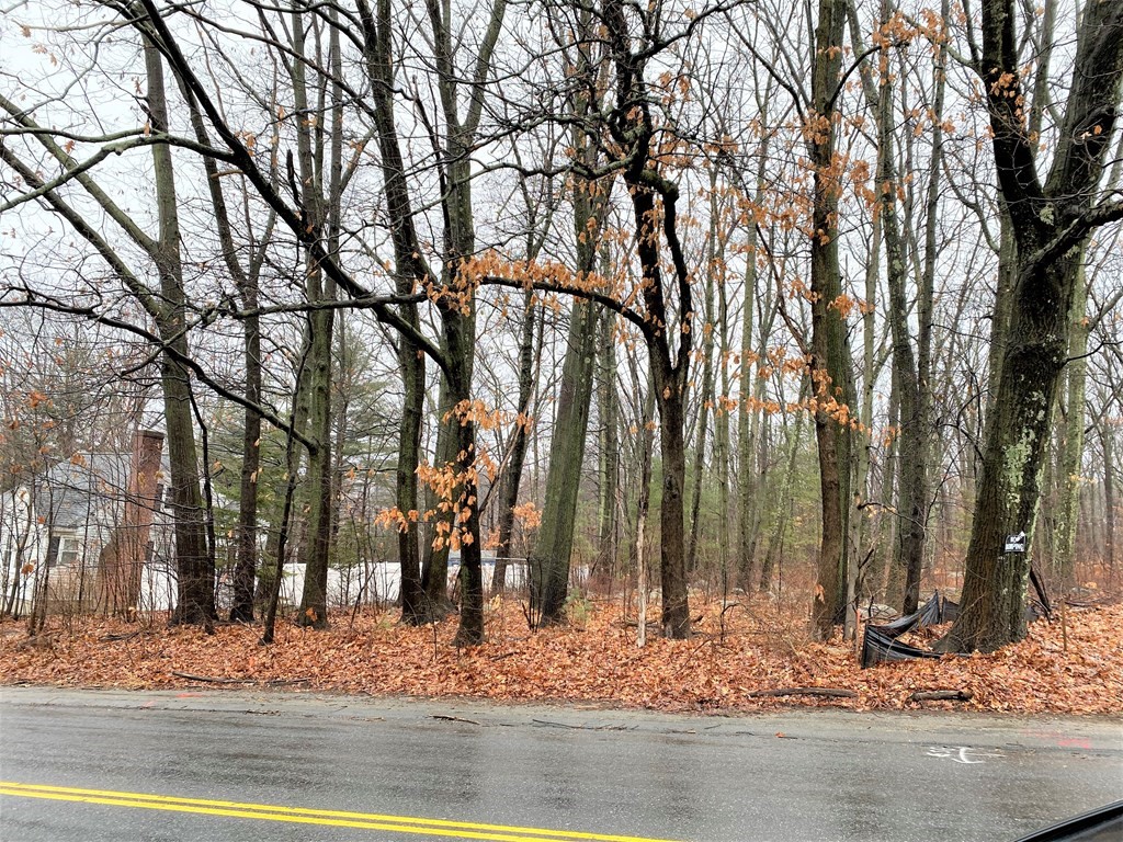 2 Ararat Street Worcester, MA 01606 - Photo 2 of 2 a view of a backyard of the house