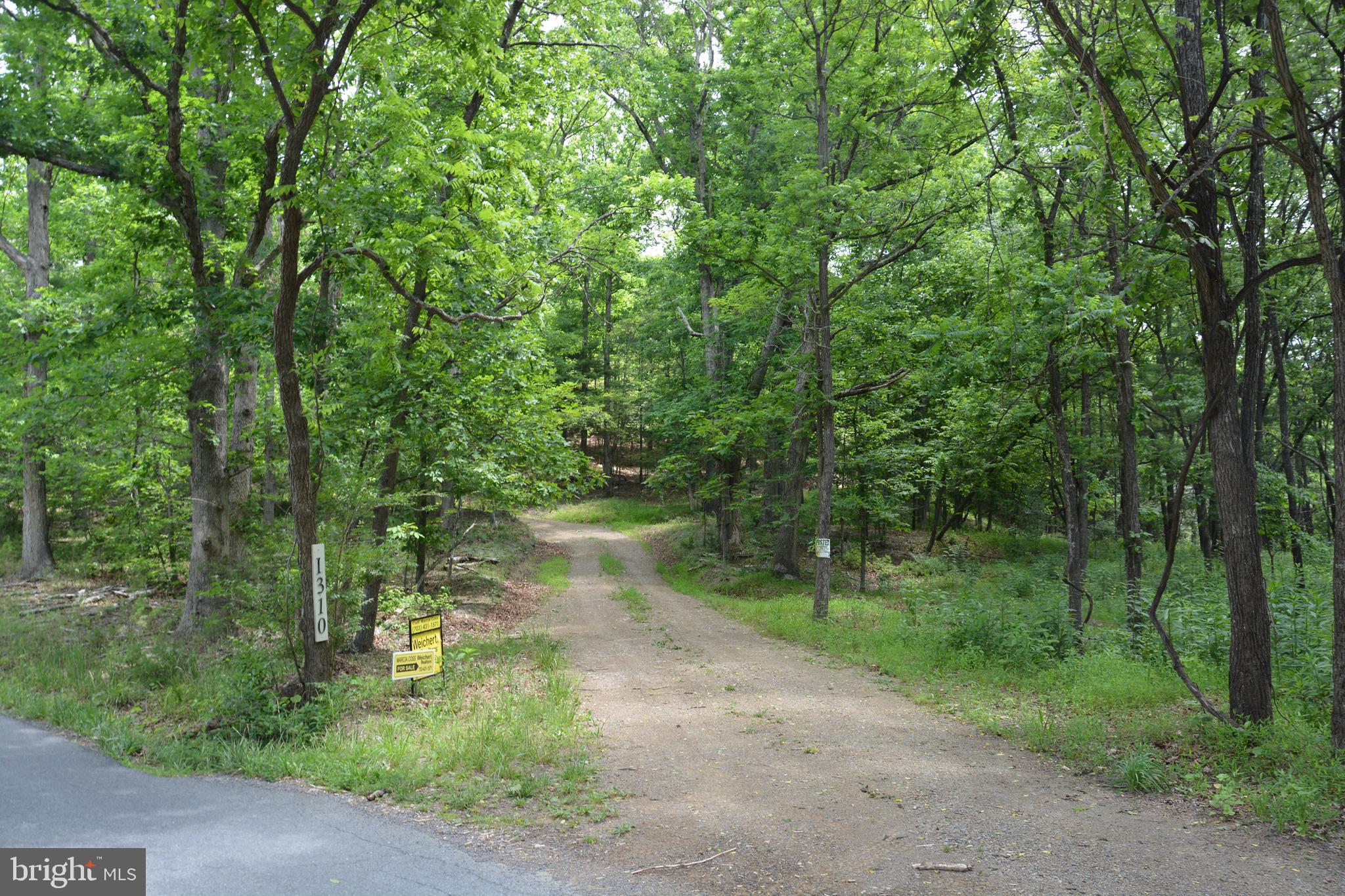 Two Lots On Siler Road Winchester, VA 22603 - Photo 36 of 38 a view of a lake with a forest