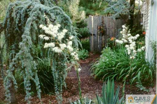 7 Dundee Road Kendall Park, NJ 08824 - Photo 3 of 4 Gallery Image 3