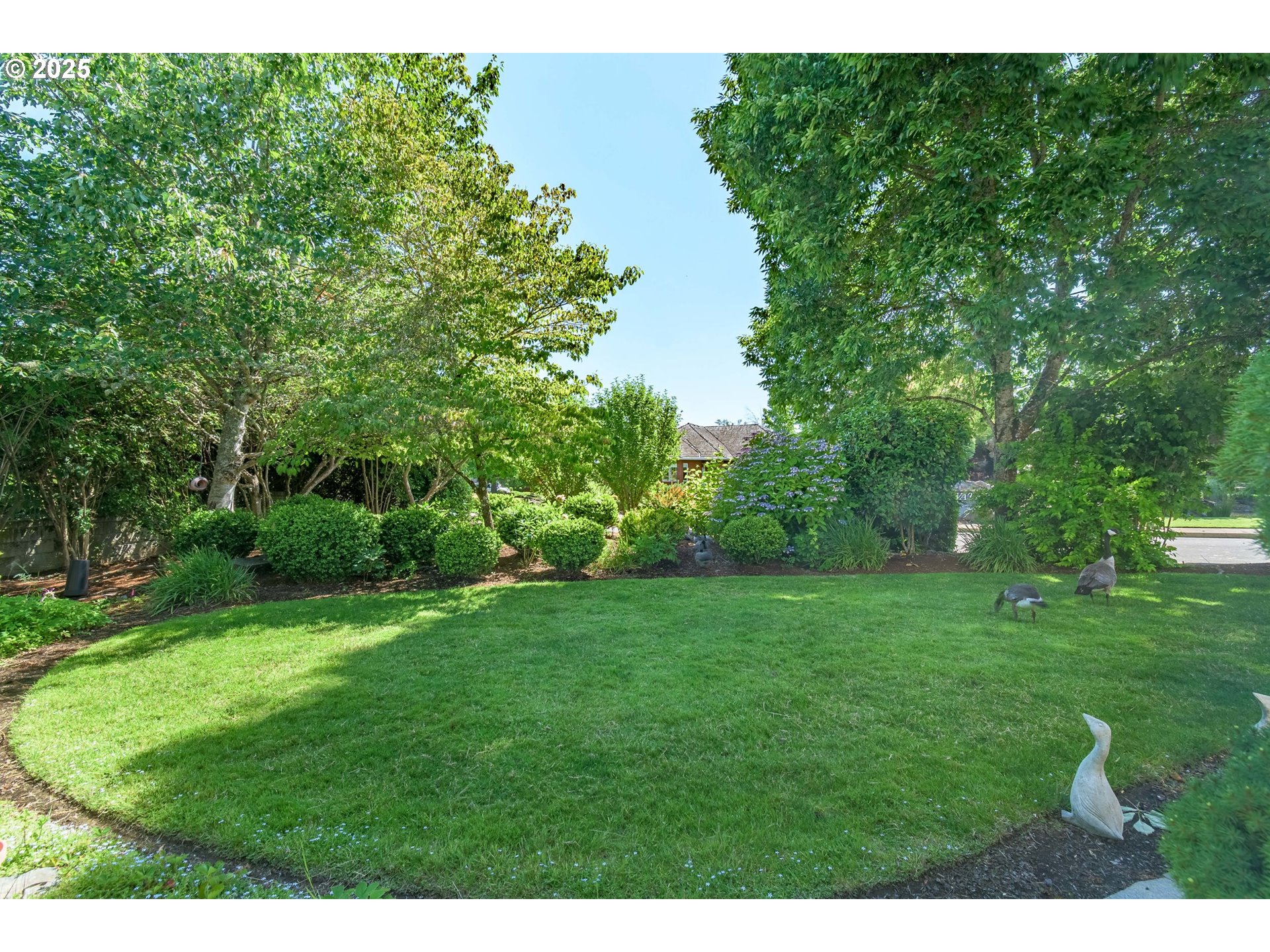 2808 Edgewater Drive Eugene, OR 97401 - Photo 42 of 48 Backyard