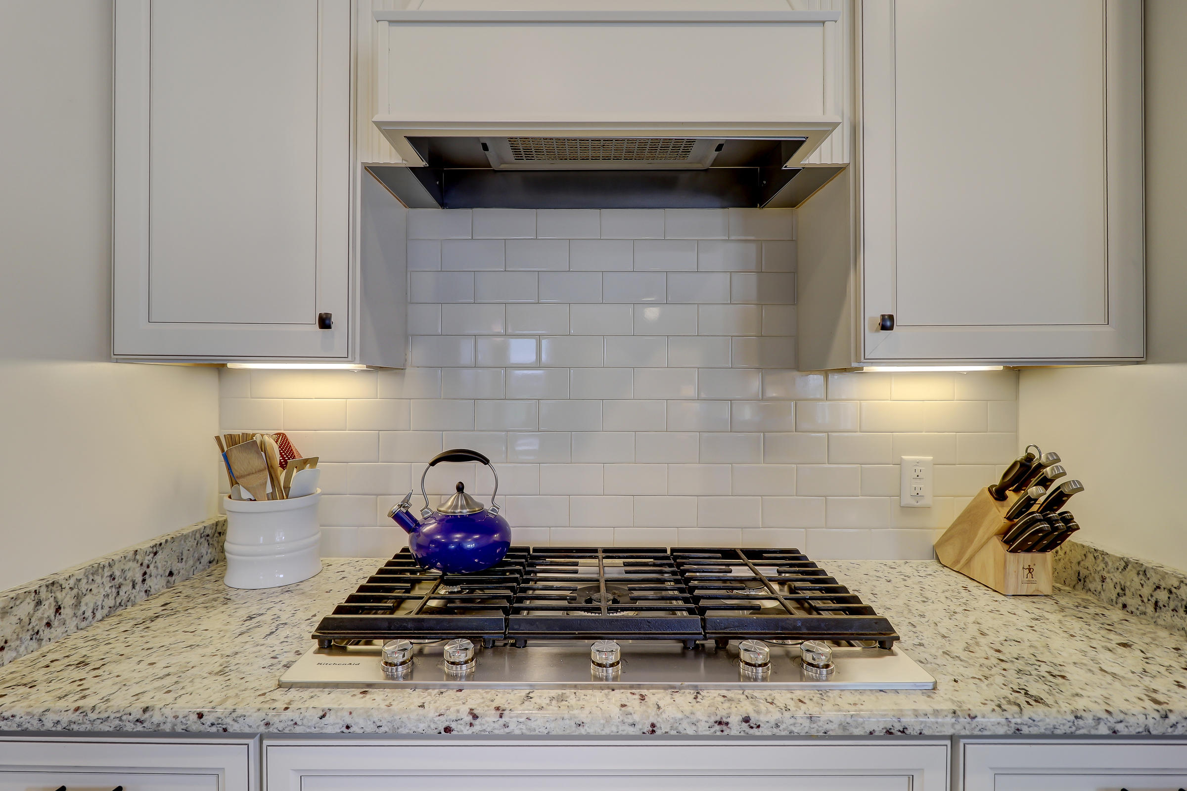 2743 Rutherford Way Charleston, SC 29414 - Photo 20 of 82 2736 Rutherford Way_LuxImg_0030