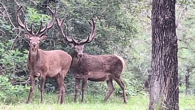 $139,900 | 222 Flash Circle, Luling, TX 78648