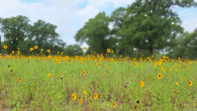 $139,900 | 222 Flash Circle, Luling, TX 78648