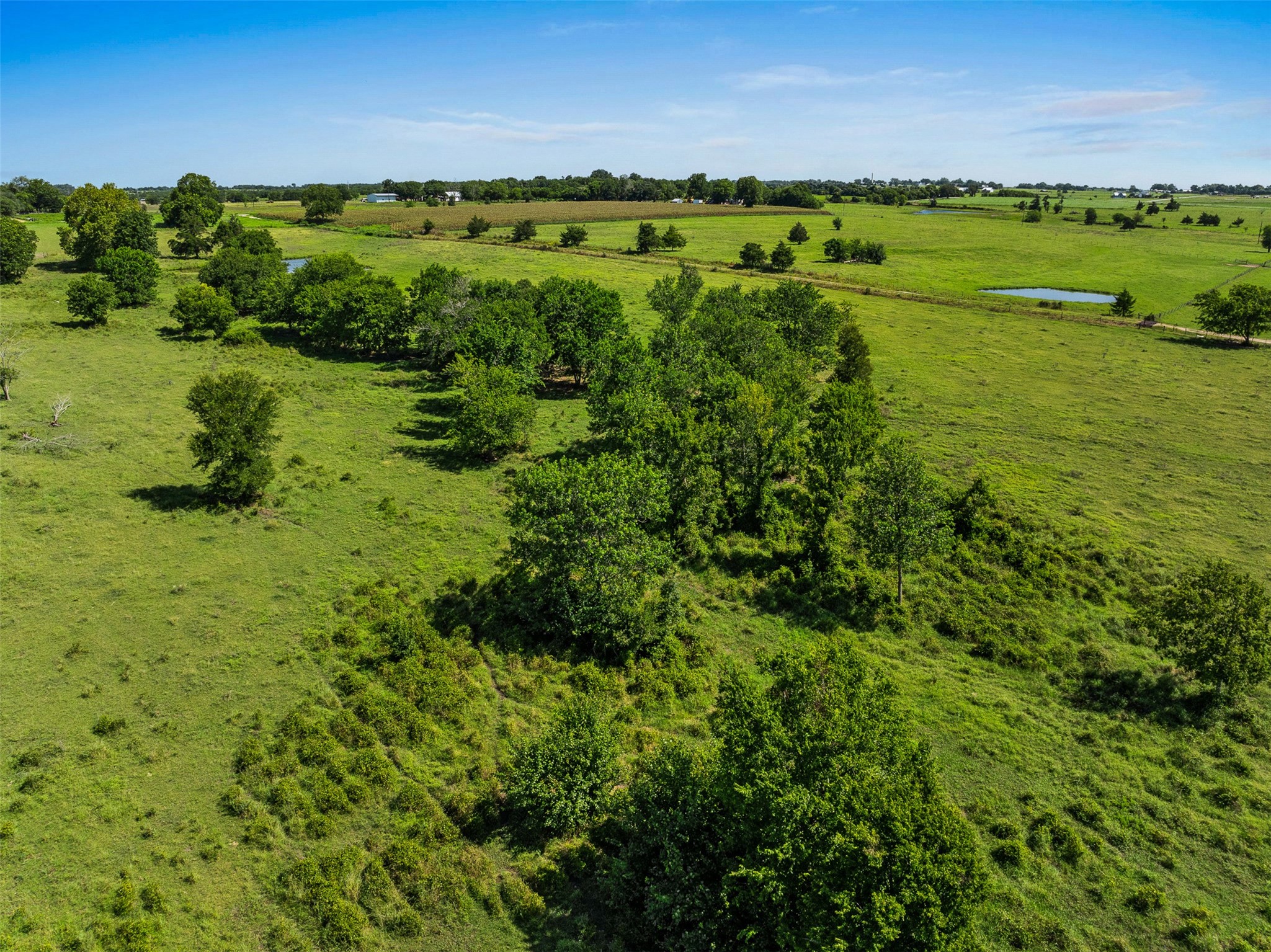 1619 Highway 237 Carmine, TX 78932 - Photo 15 of 26 a view of a green field with an outdoor space