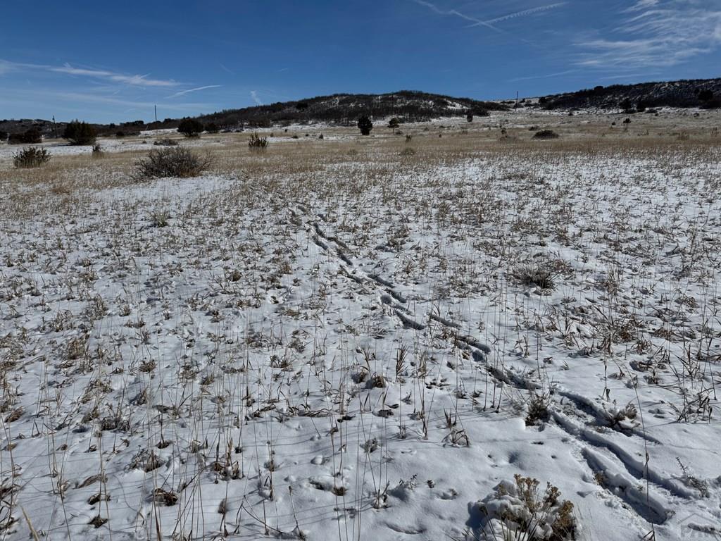 Tbd Antoinette Lane Rye, CO 81069 - Photo 3 of 3
