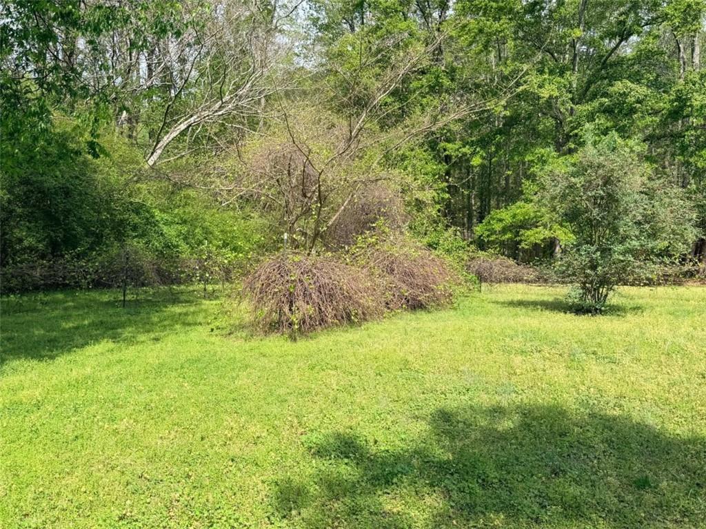 1129 Cave Springs Road Douglasville, GA 30134 - Photo 26 of 37