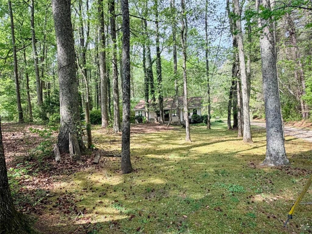 1129 Cave Springs Road Douglasville, GA 30134 - Photo 3 of 21