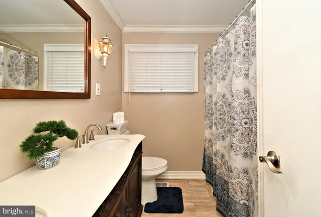 a bathroom with a sink a toilet and a mirror