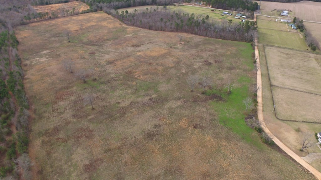 42.69-acre Big Tree Road Wagener, SC 29164 - Photo 13 of 15