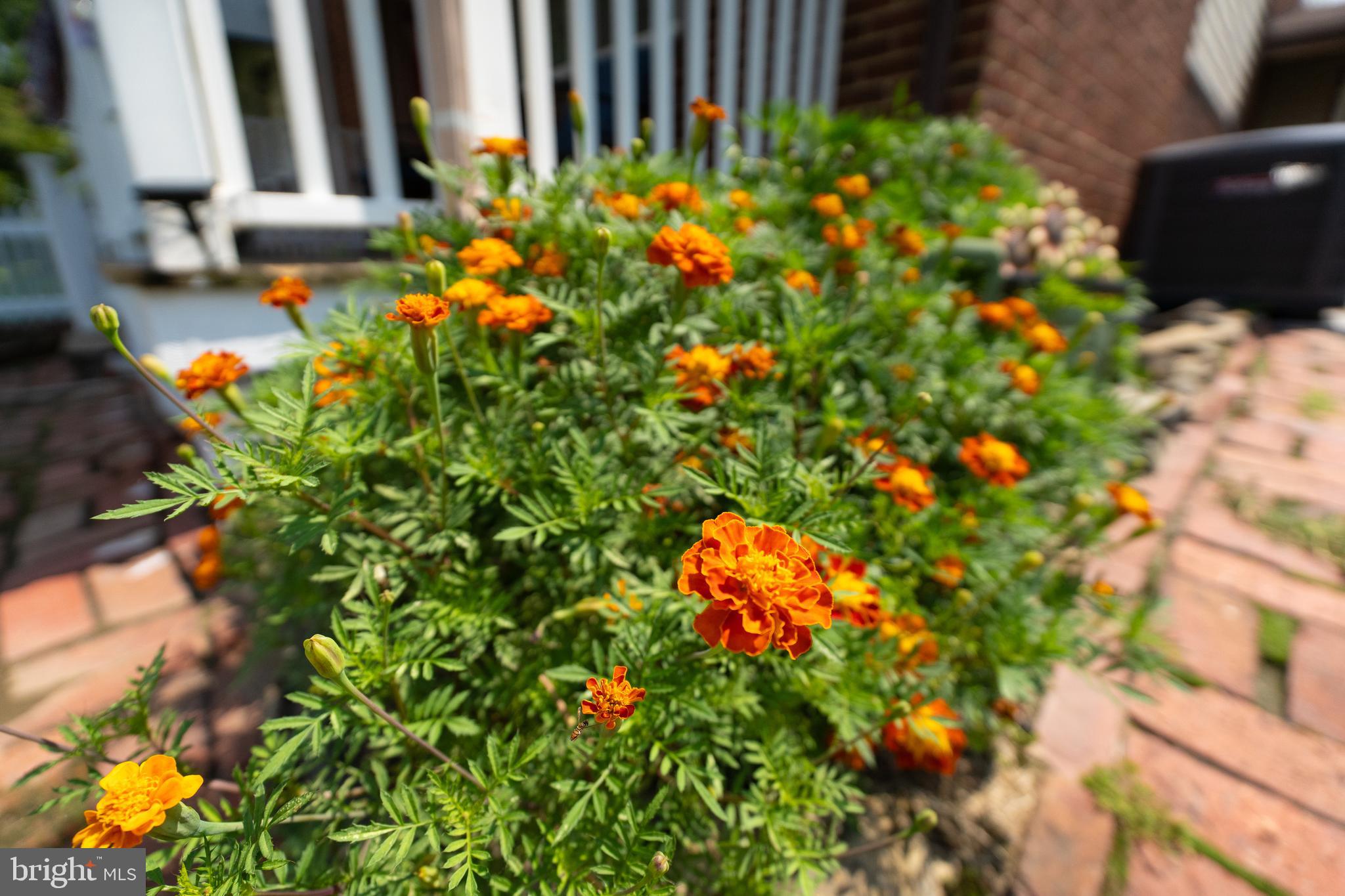 1763 Melbourne Road Baltimore, MD 21222 - Photo 10 of 49 Gallery Image 10