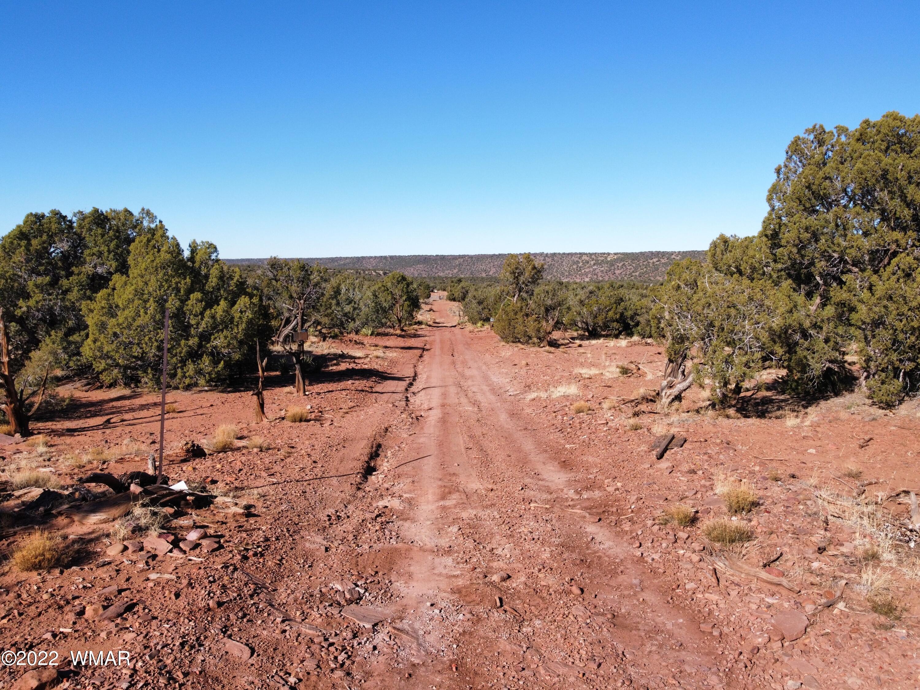 9967 Buffalo Ridge Lane Show Low, AZ 85901 - Photo 1 of 18