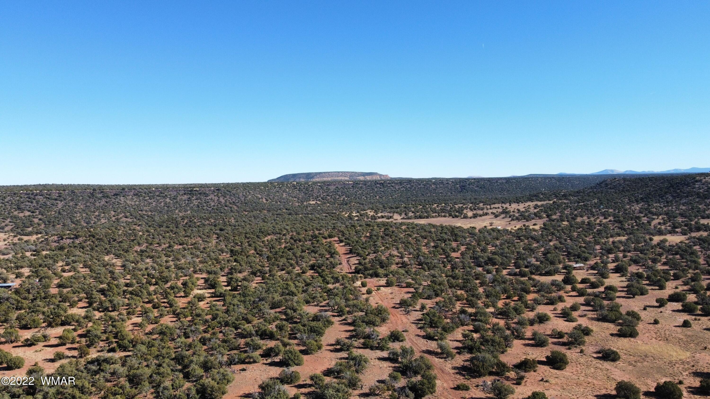 9967 Buffalo Ridge Lane Show Low, AZ 85901 - Photo 11 of 18