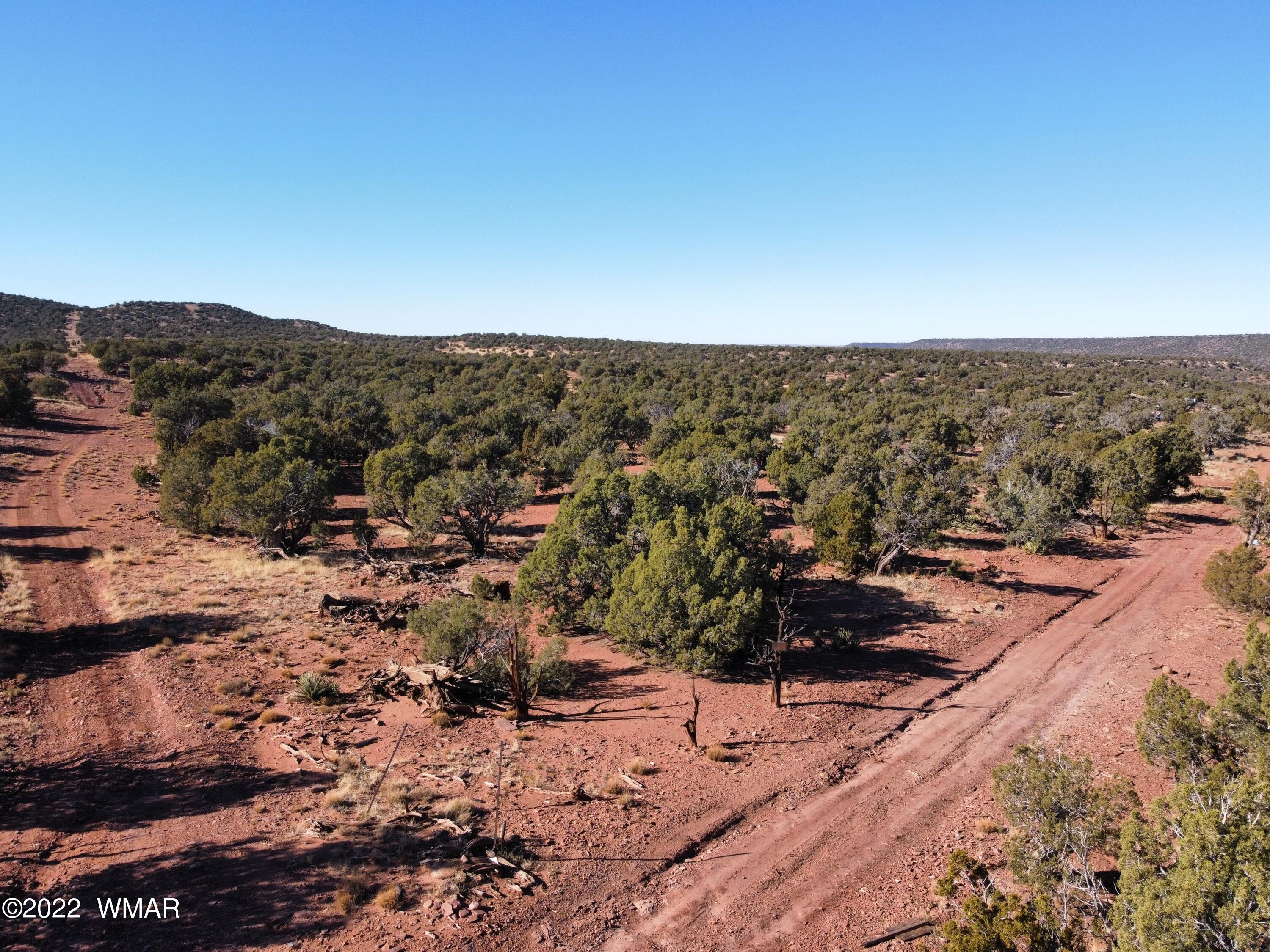 9967 Buffalo Ridge Lane Show Low, AZ 85901 - Photo 13 of 18