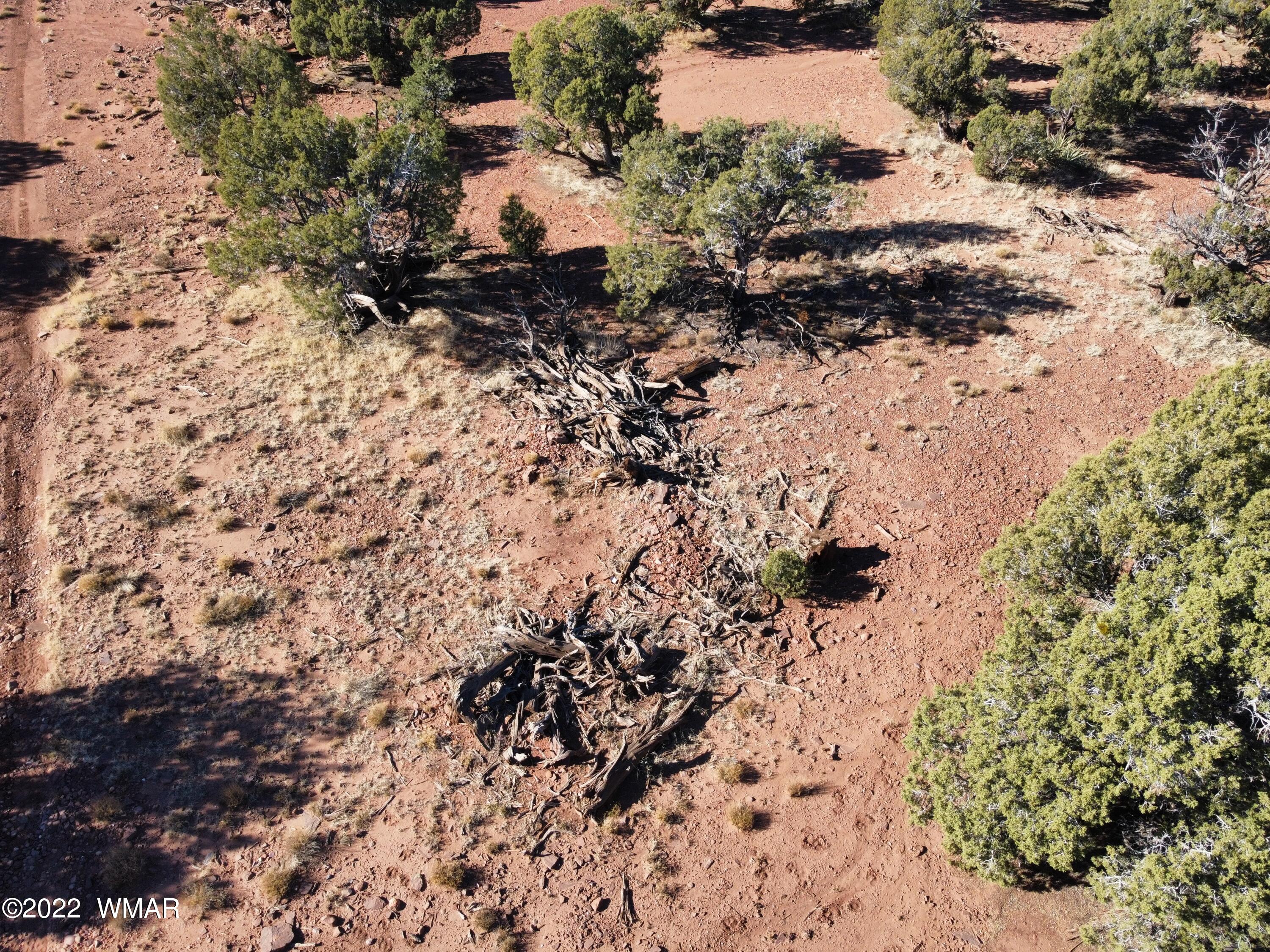 9967 Buffalo Ridge Lane Show Low, AZ 85901 - Photo 14 of 18