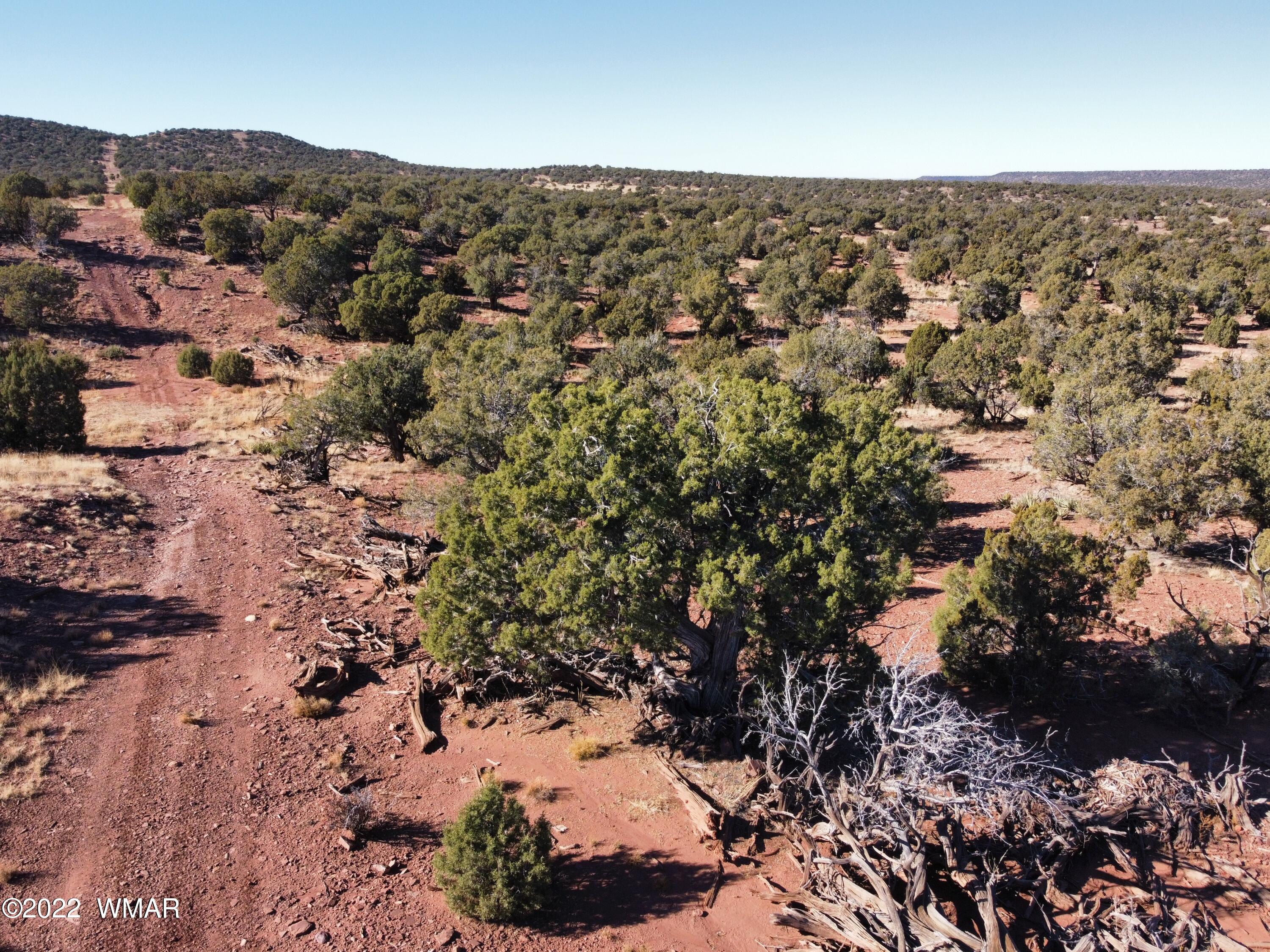 9967 Buffalo Ridge Lane Show Low, AZ 85901 - Photo 15 of 18
