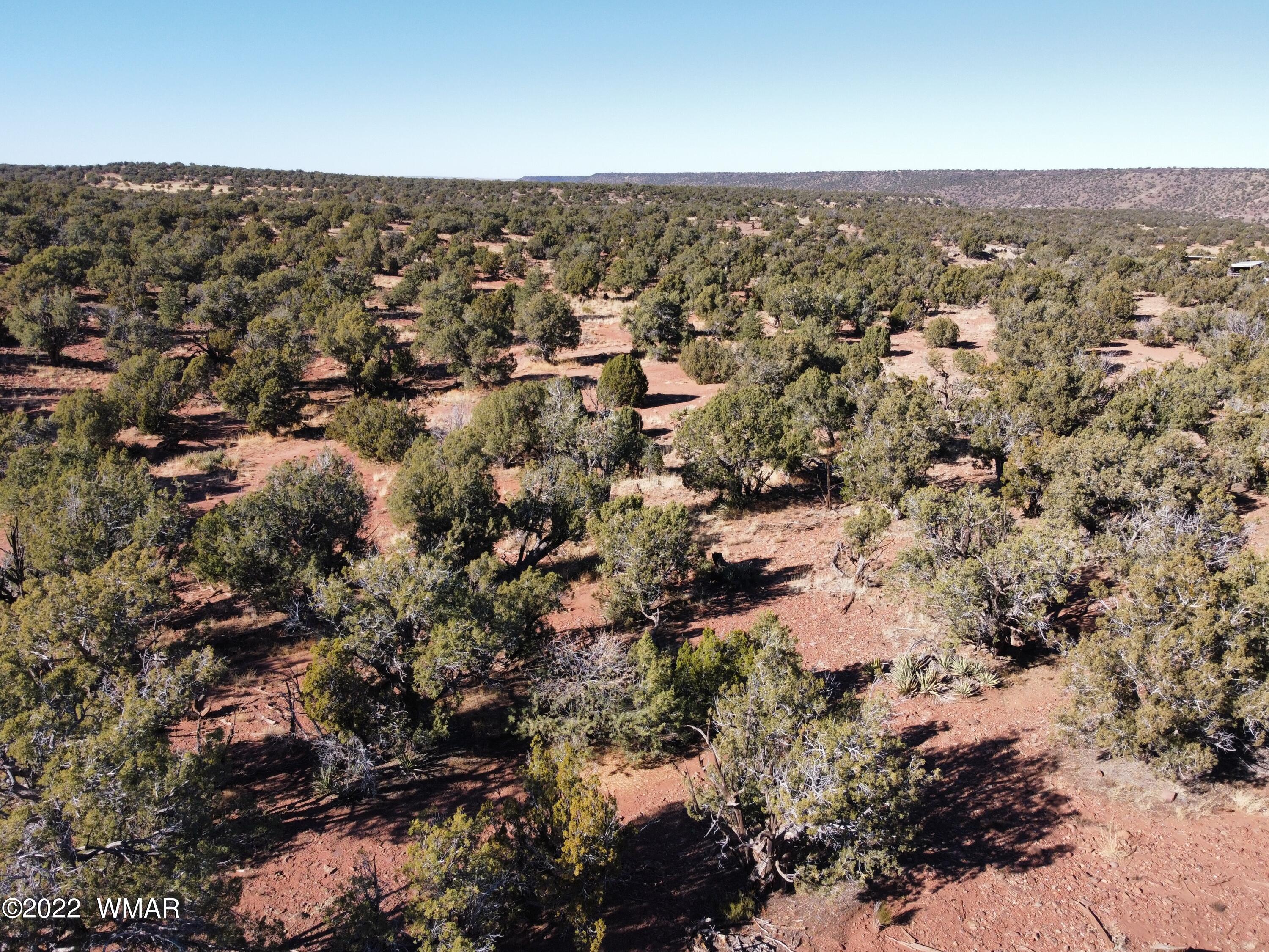 9967 Buffalo Ridge Lane Show Low, AZ 85901 - Photo 16 of 18
