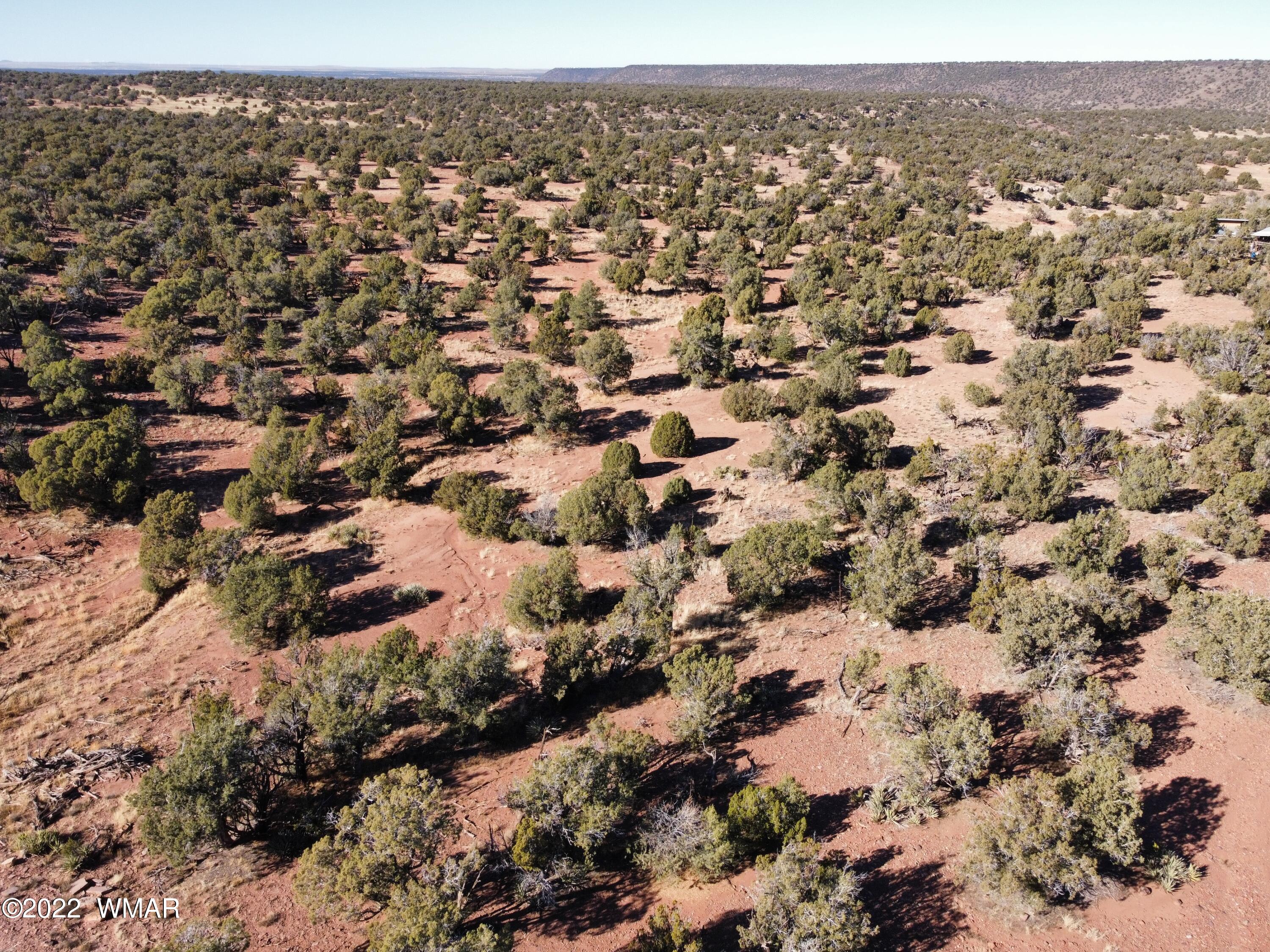 9967 Buffalo Ridge Lane Show Low, AZ 85901 - Photo 17 of 18