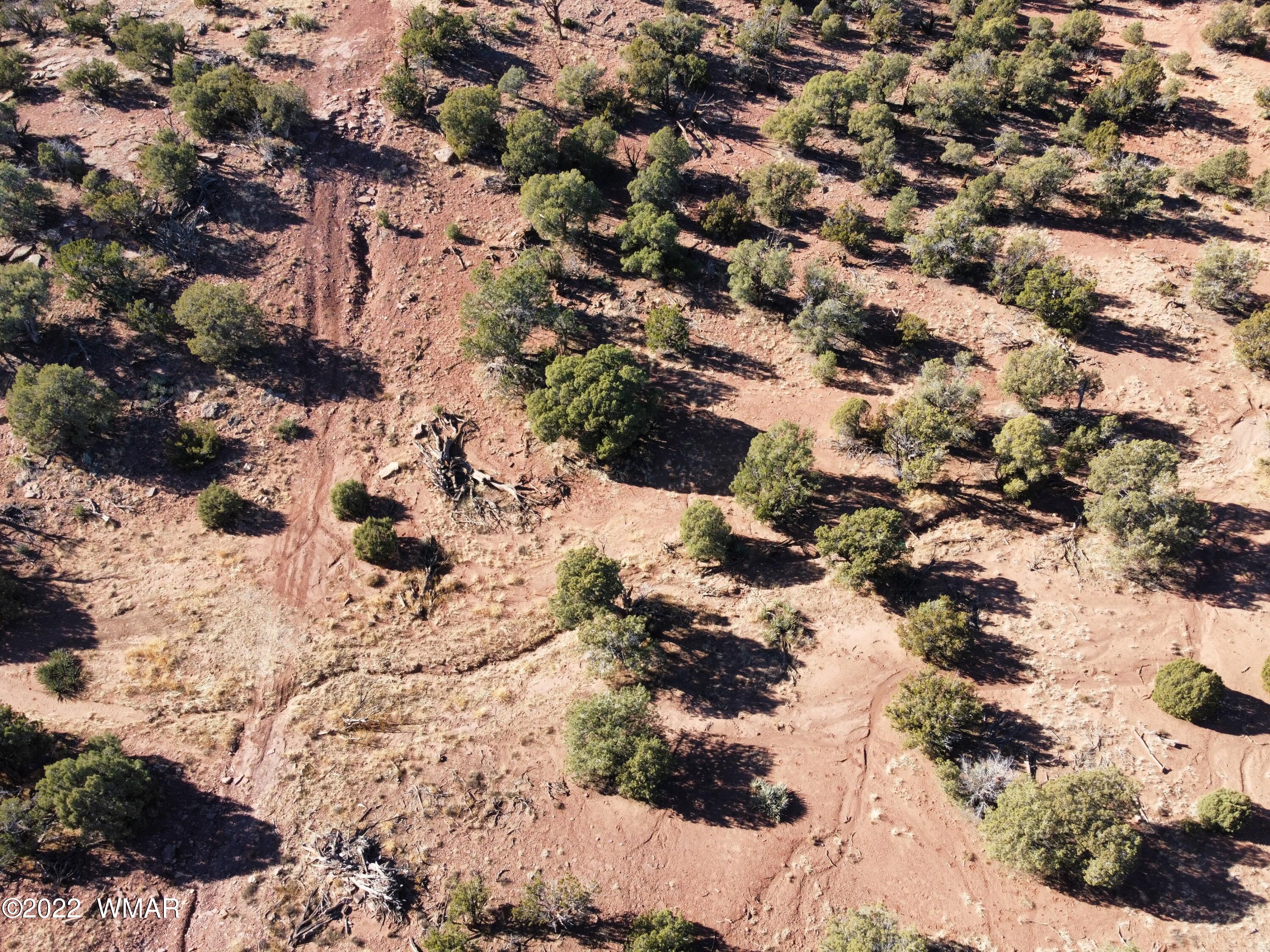 9967 Buffalo Ridge Lane Show Low, AZ 85901 - Photo 18 of 18