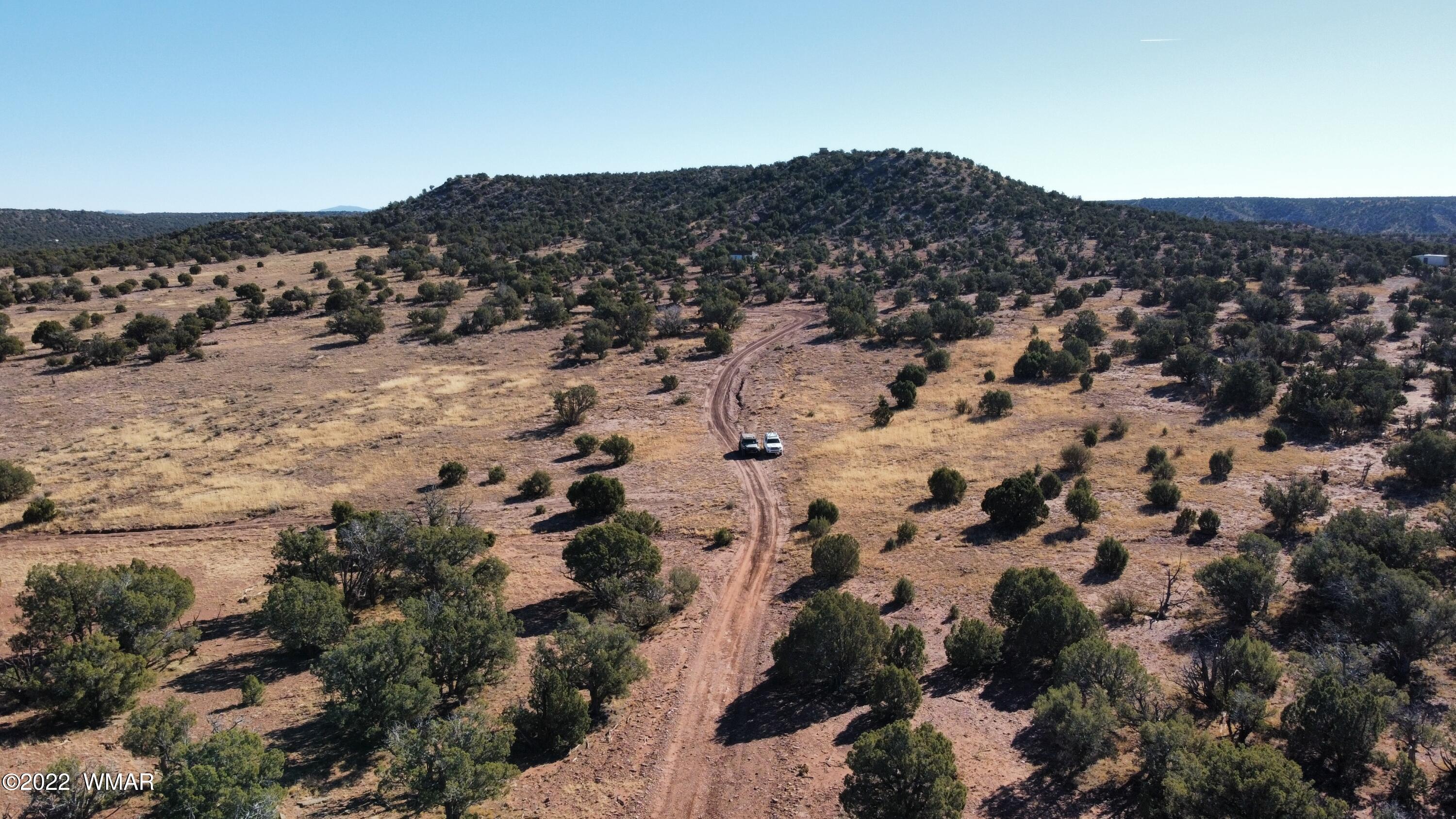 9967 Buffalo Ridge Lane Show Low, AZ 85901 - Photo 2 of 18