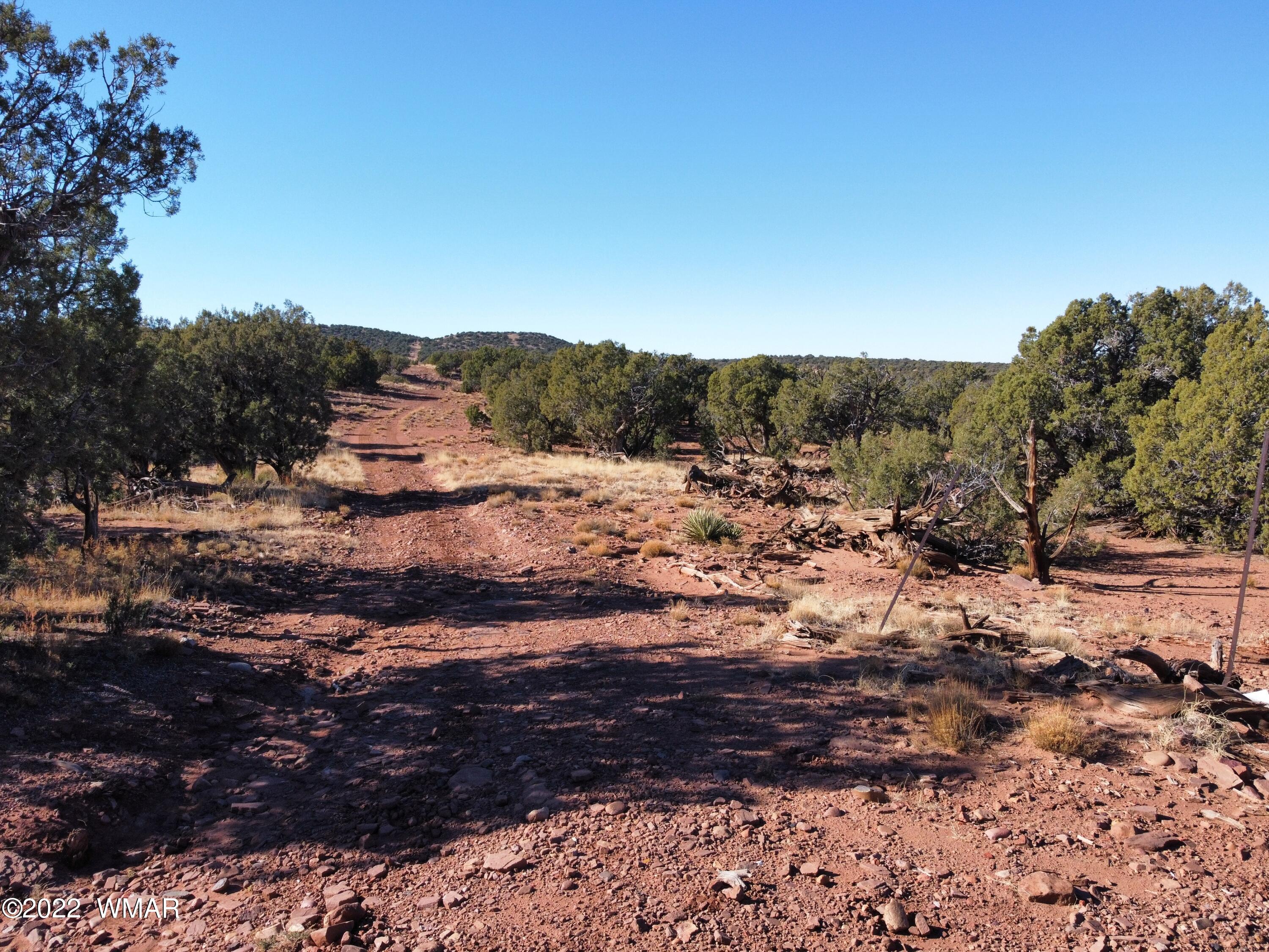 9967 Buffalo Ridge Lane Show Low, AZ 85901 - Photo 5 of 18