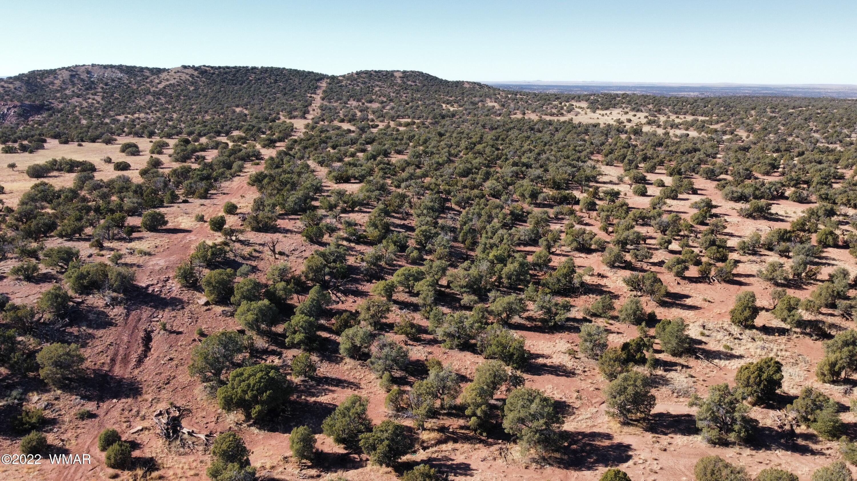 9967 Buffalo Ridge Lane Show Low, AZ 85901 - Photo 9 of 18