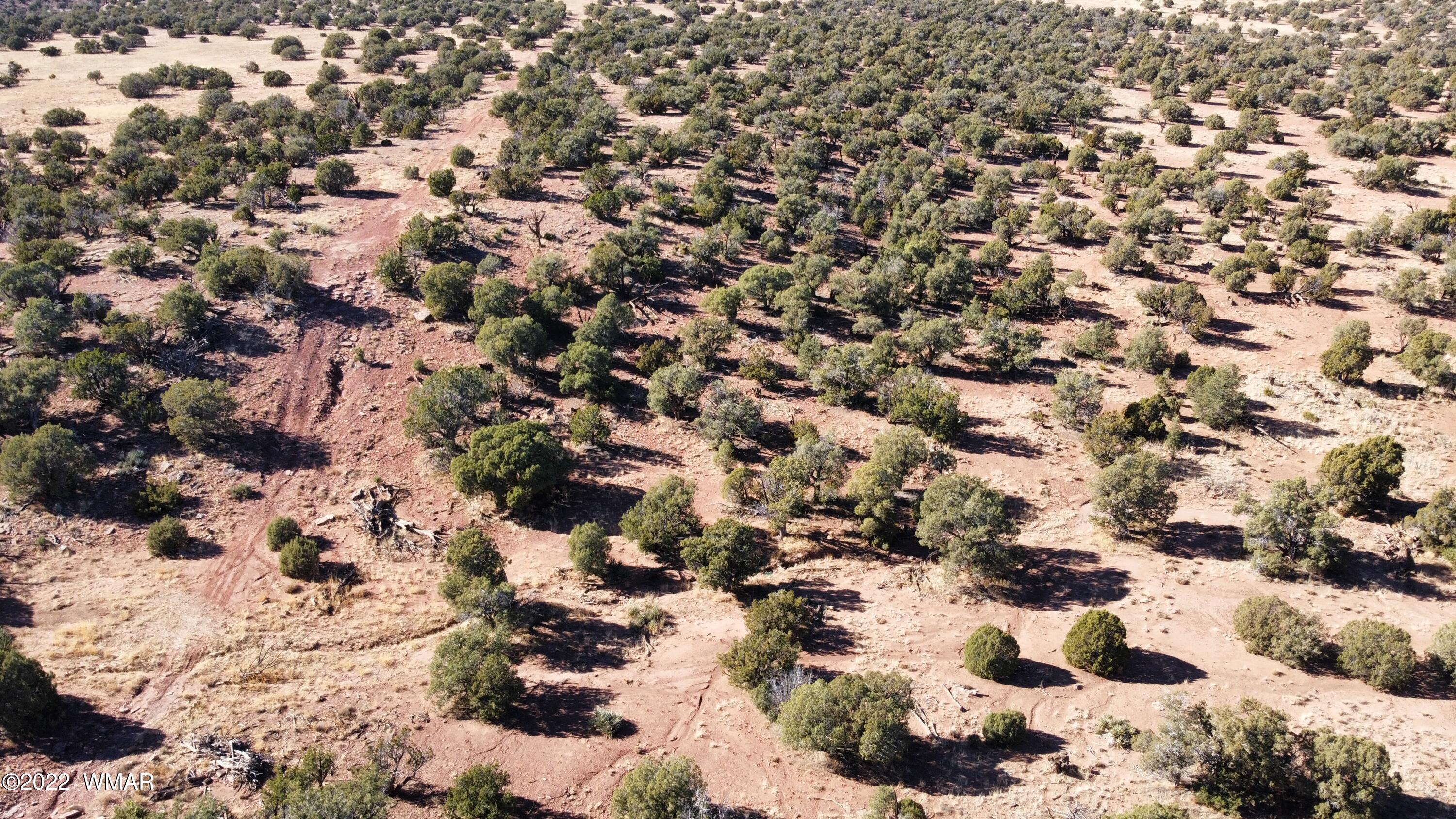 9967 Buffalo Ridge Lane Show Low, AZ 85901 - Photo 10 of 18