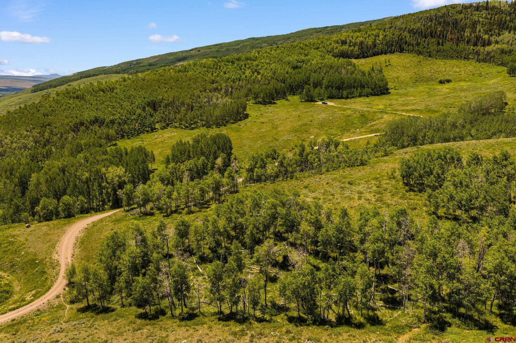 1175 Red Mountain Ranch Road Crested Butte, CO 81224 - Photo 12 of 24
