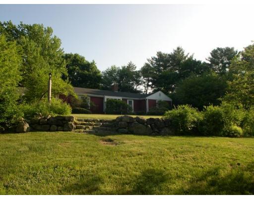 42 Longmeadow Road Weston, MA 02493 - Photo 3 of 7 a view of a garden with potted plants and large trees