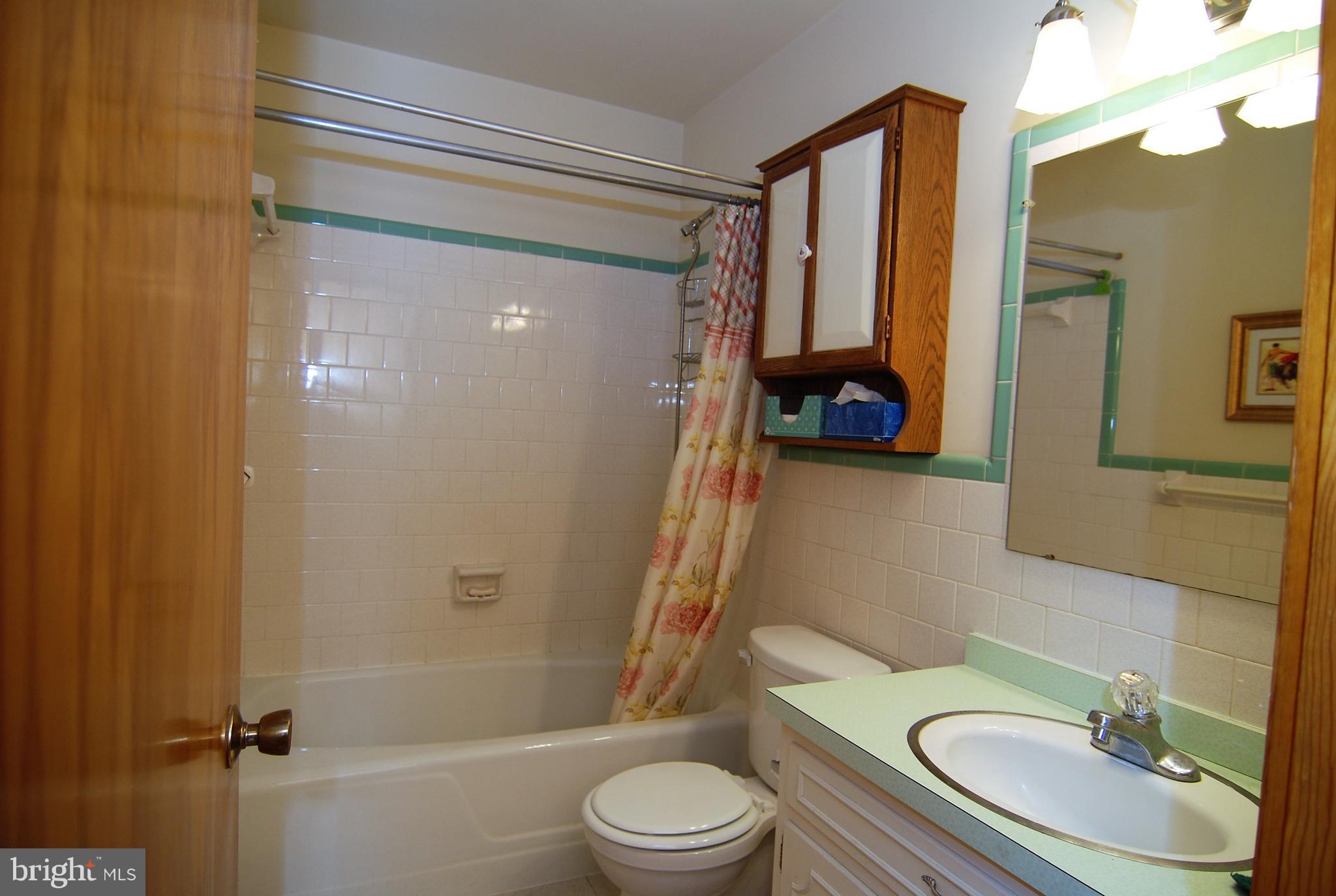 6712 South Clifton Road Frederick, MD 21703 - Photo 11 of 28 a bathroom with a sink a toilet and shower