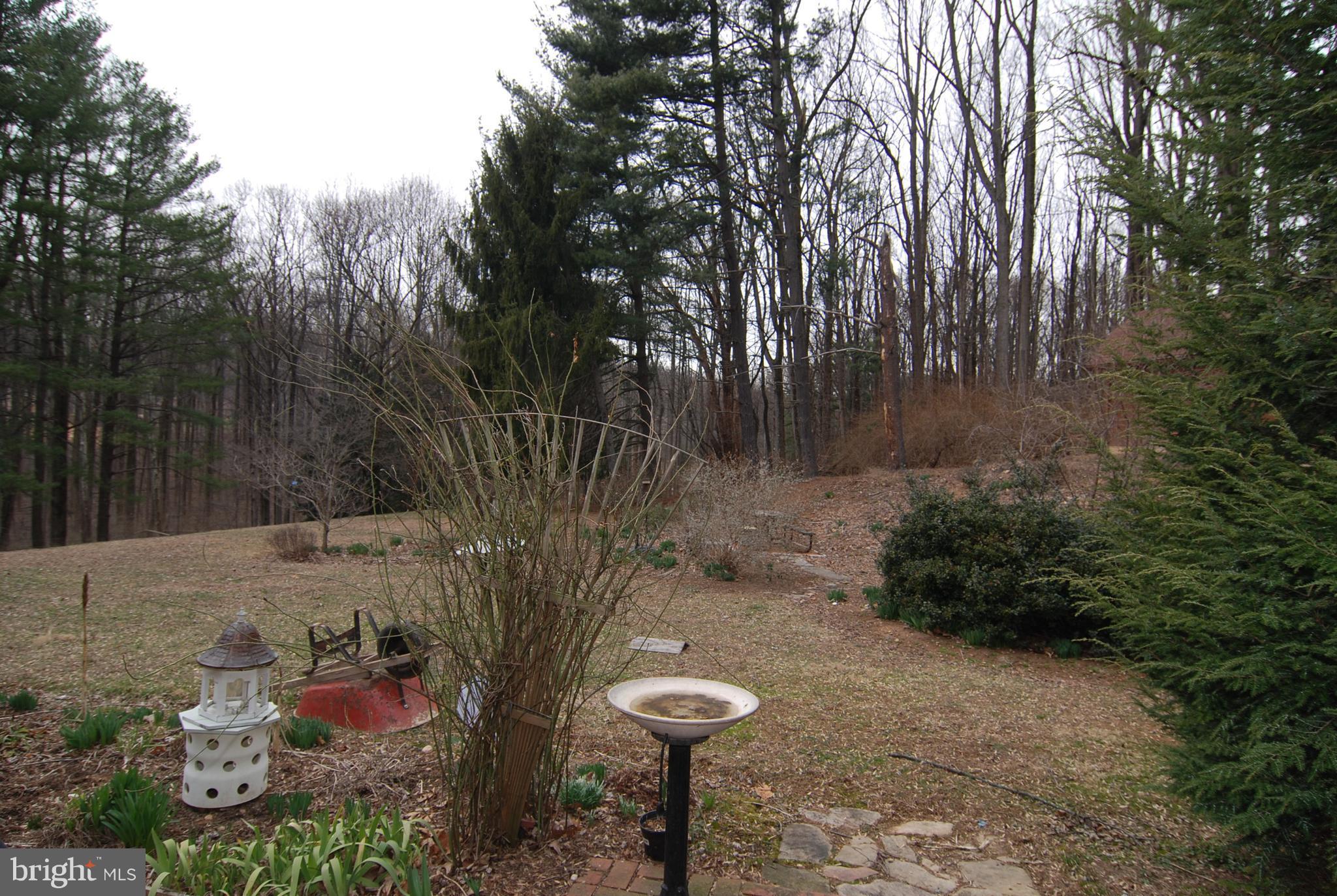 6712 South Clifton Road Frederick, MD 21703 - Photo 24 of 28 a backyard of a house with lots of green space and trees