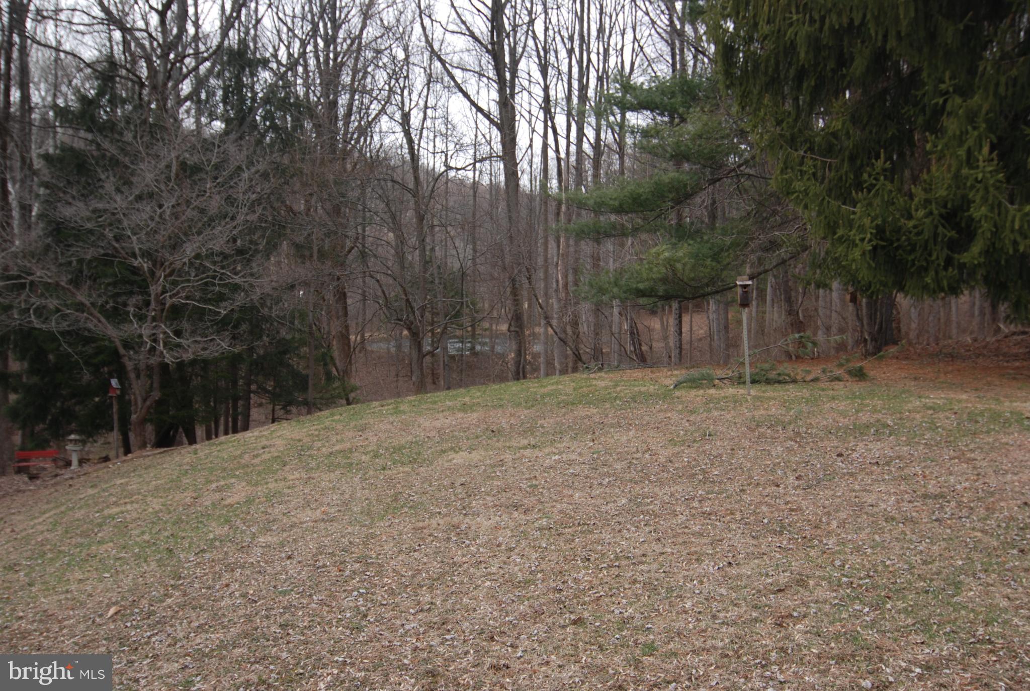 6712 South Clifton Road Frederick, MD 21703 - Photo 26 of 28 a backyard of a house