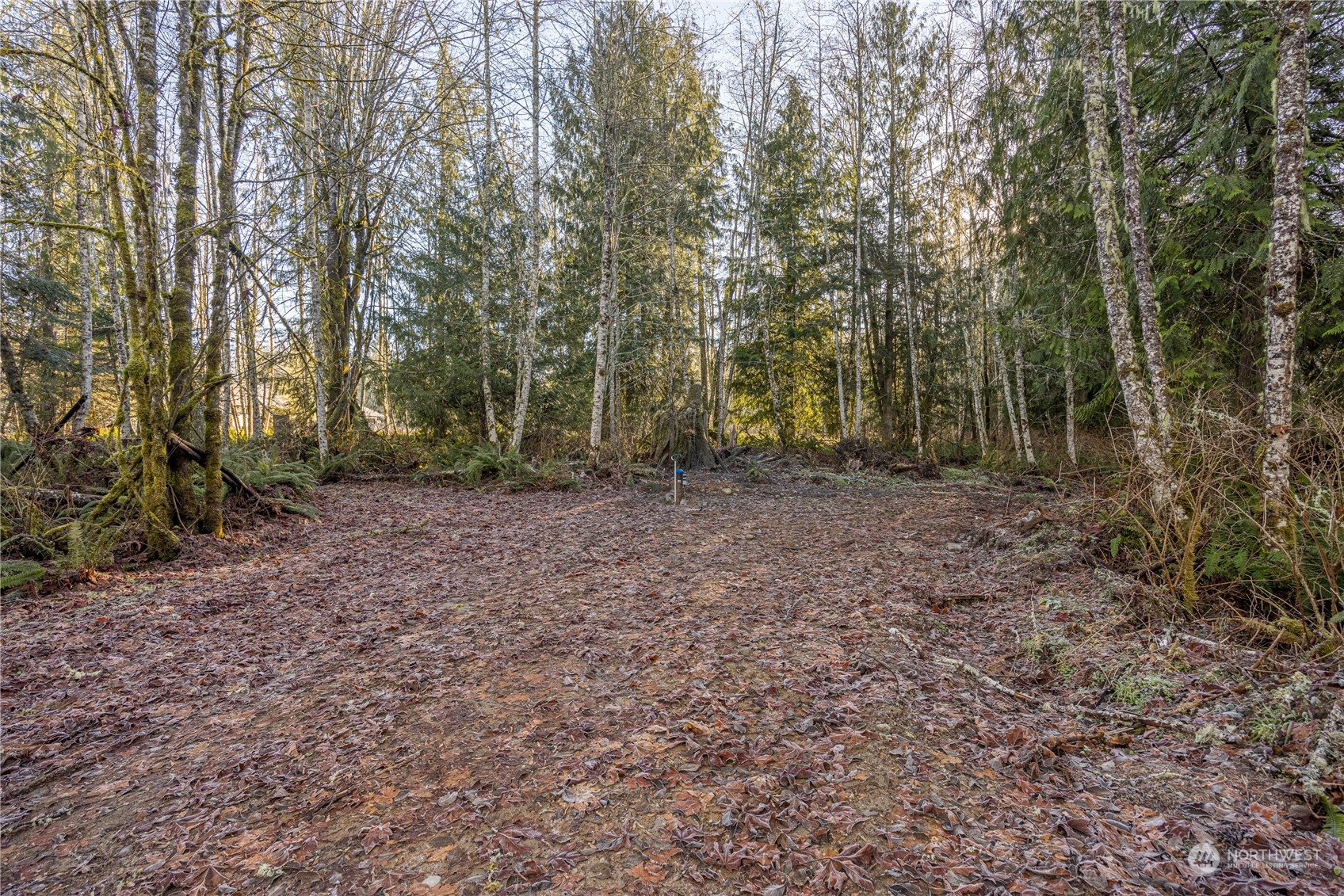 1184 Ripplebrook Drive Port Angeles, WA 98362 - Photo 13 of 28 Gallery Image 13