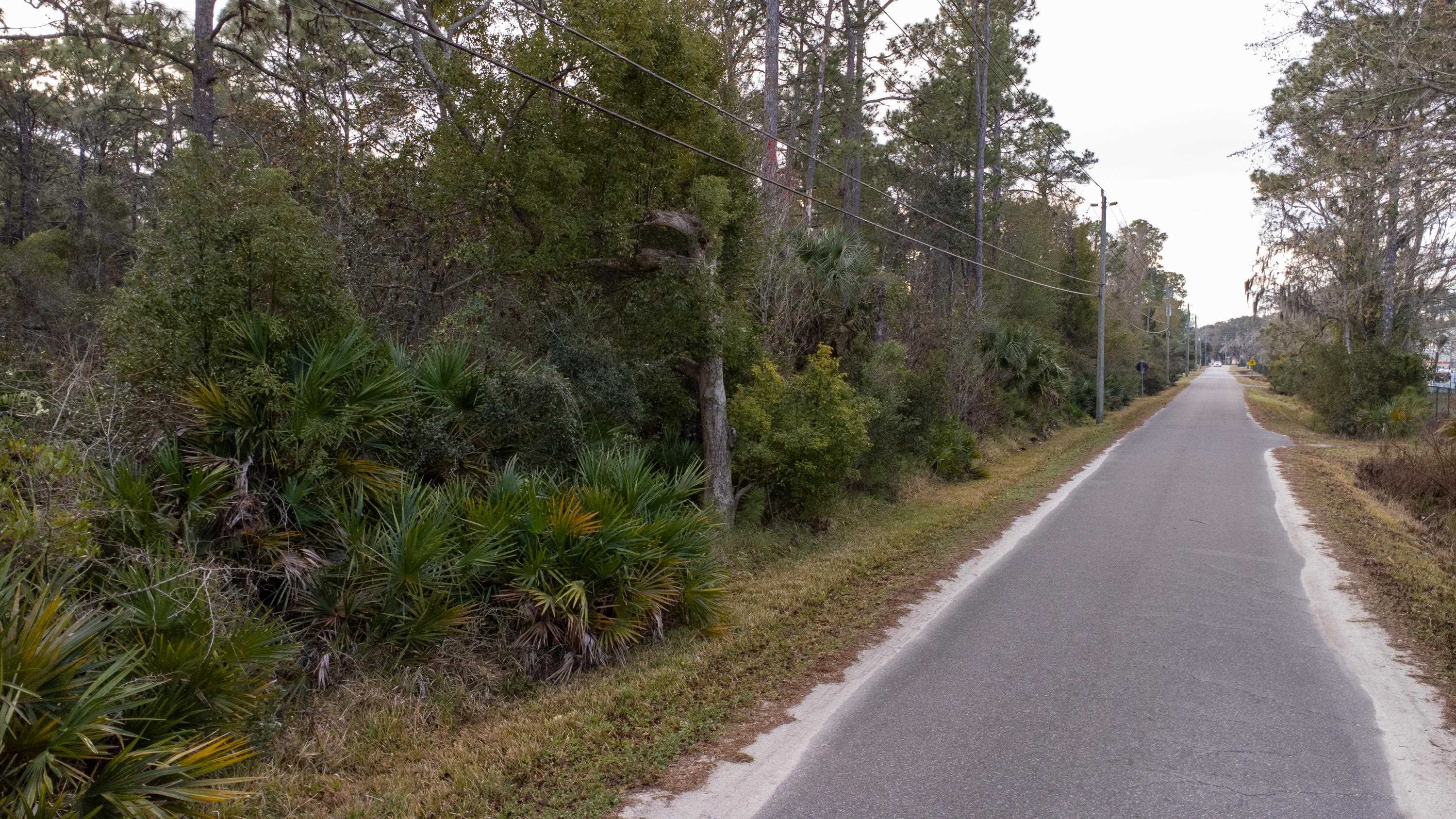 0 North Clay Street St. Augustine, FL 32084 - Photo 13 of 22 a view of a pathway both side of yard