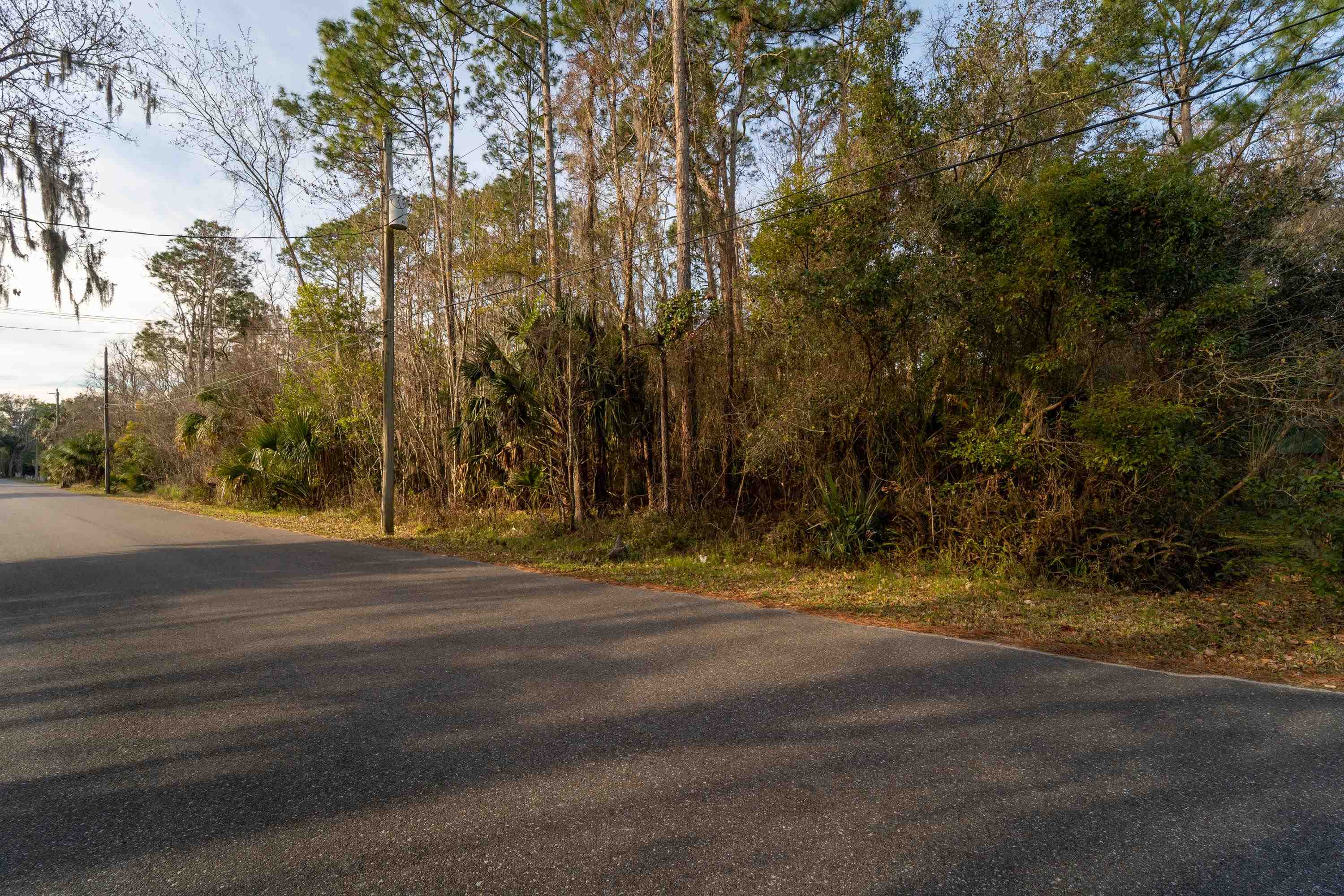 0 North Clay Street St. Augustine, FL 32084 - Photo 18 of 22