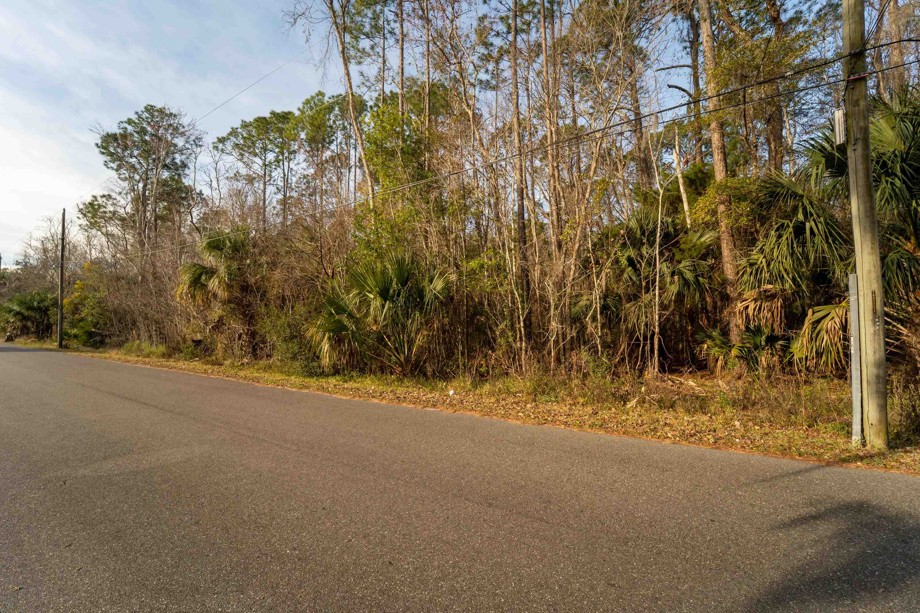 0 North Clay Street St. Augustine, FL 32084 - Photo 19 of 22 a view of a yard with a tree