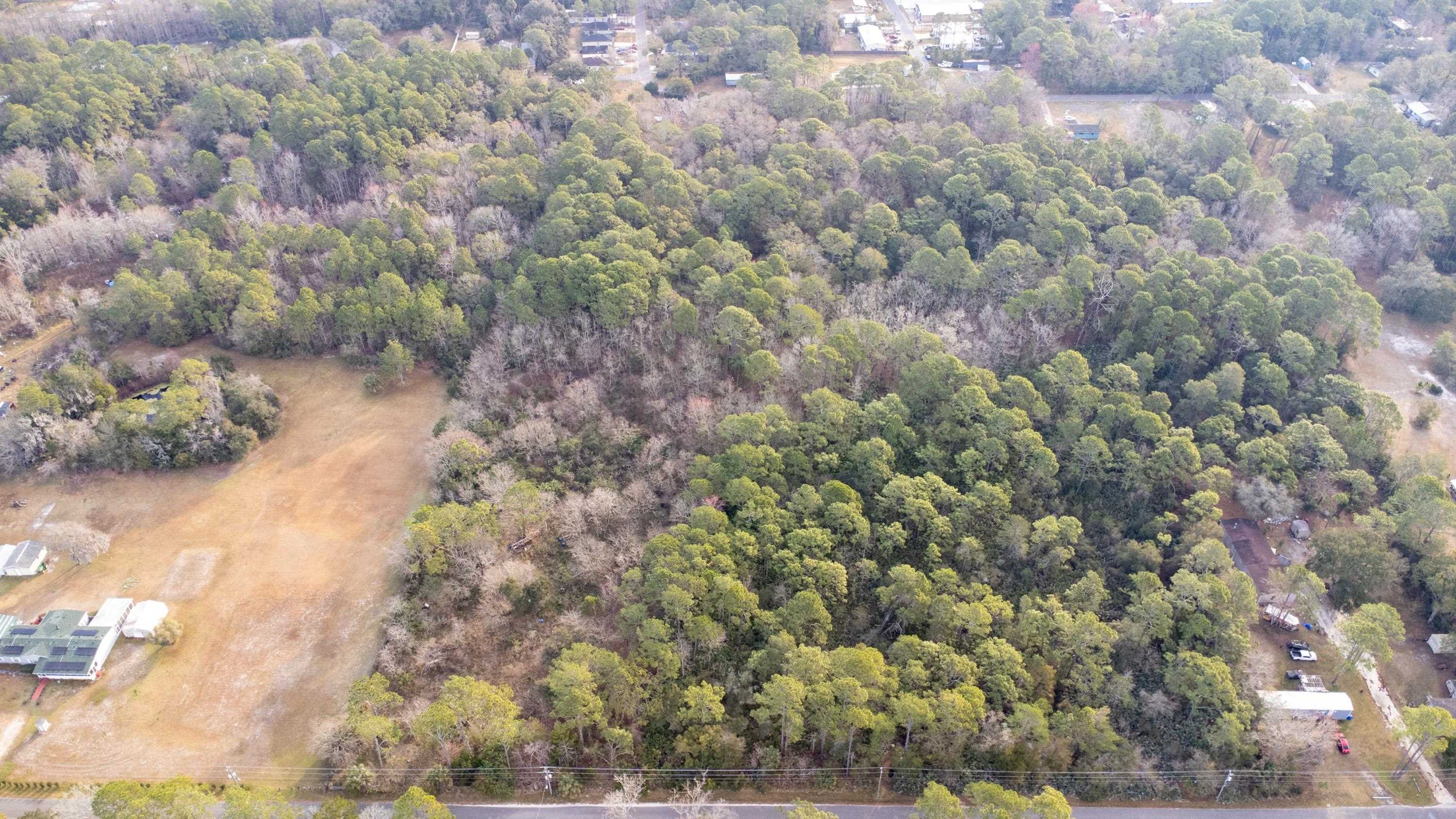 0 North Clay Street St. Augustine, FL 32084 - Photo 6 of 22 a view of a forest with a tree