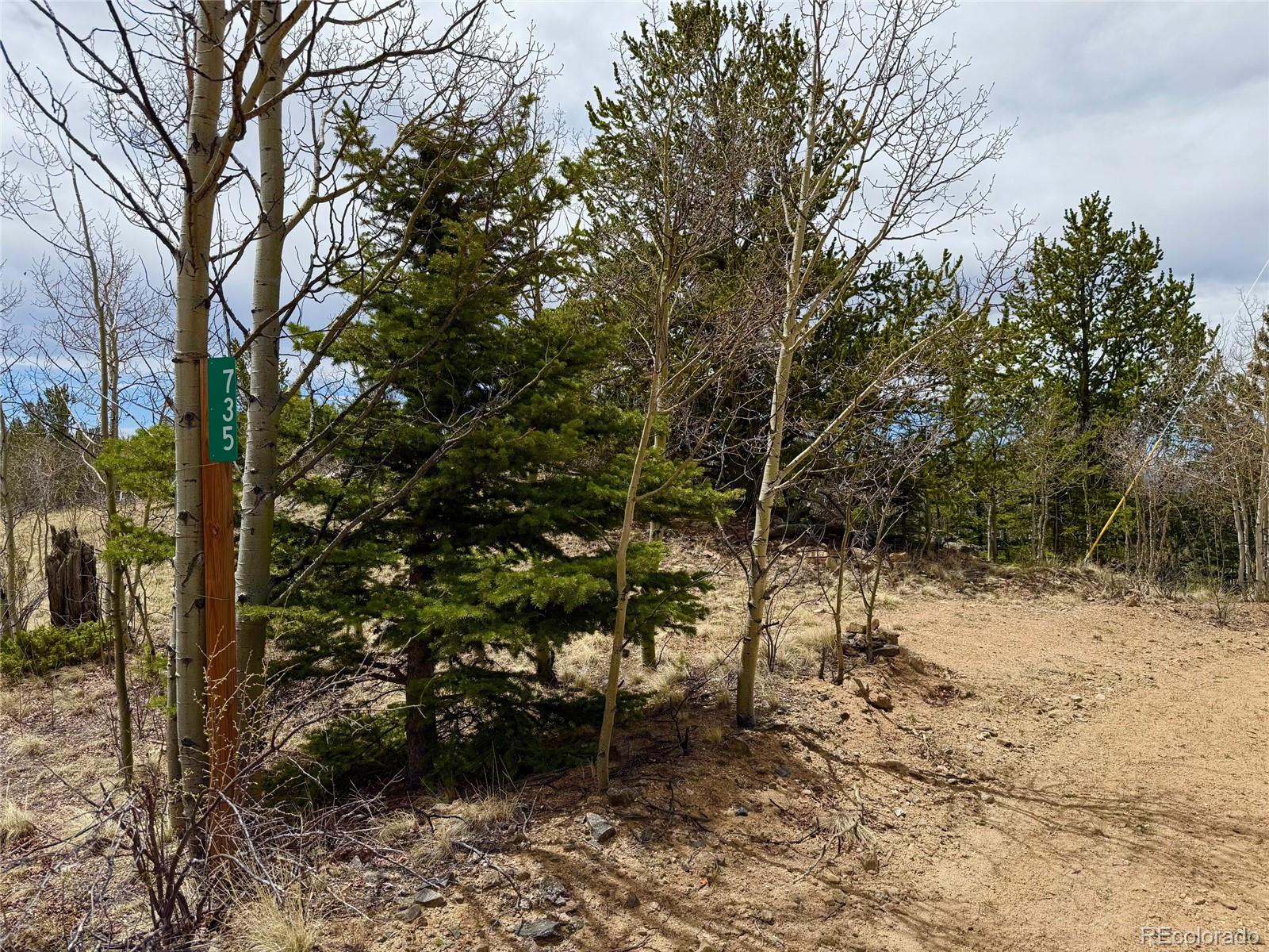 735 Quiver Road Jefferson, CO 80456 - Photo 17 of 32