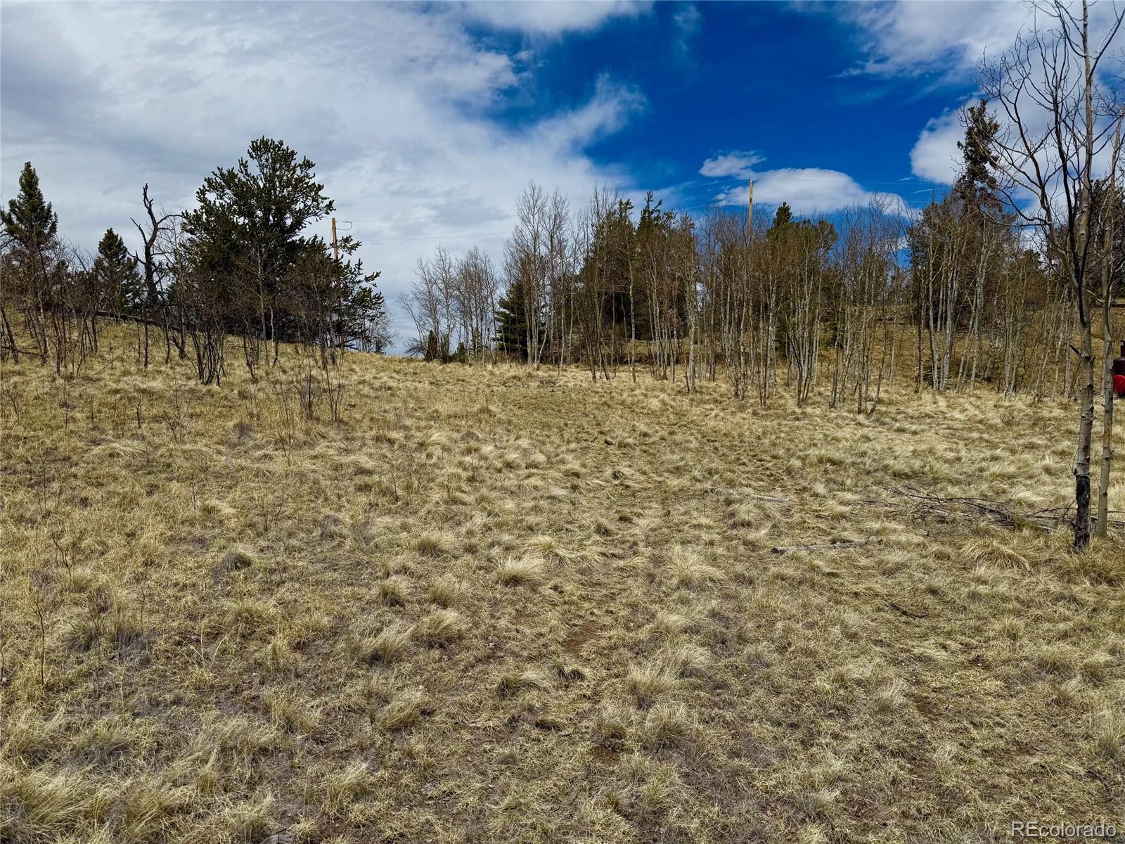 735 Quiver Road Jefferson, CO 80456 - Photo 19 of 32