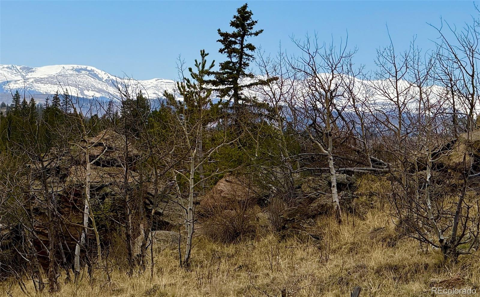 735 Quiver Road Jefferson, CO 80456 - Photo 20 of 32