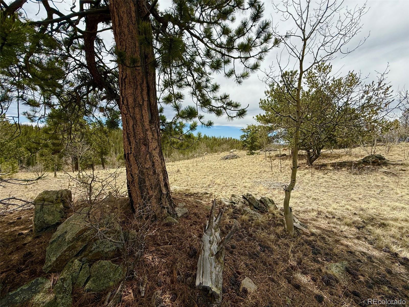 735 Quiver Road Jefferson, CO 80456 - Photo 21 of 32